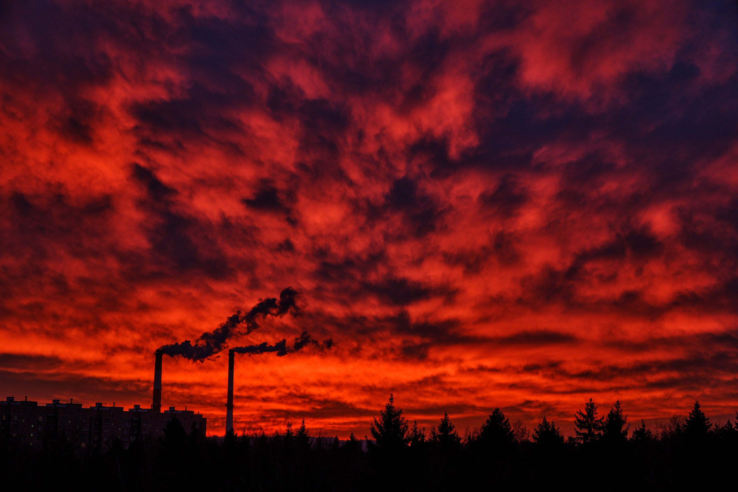 Фотоальбом с разными съёмками