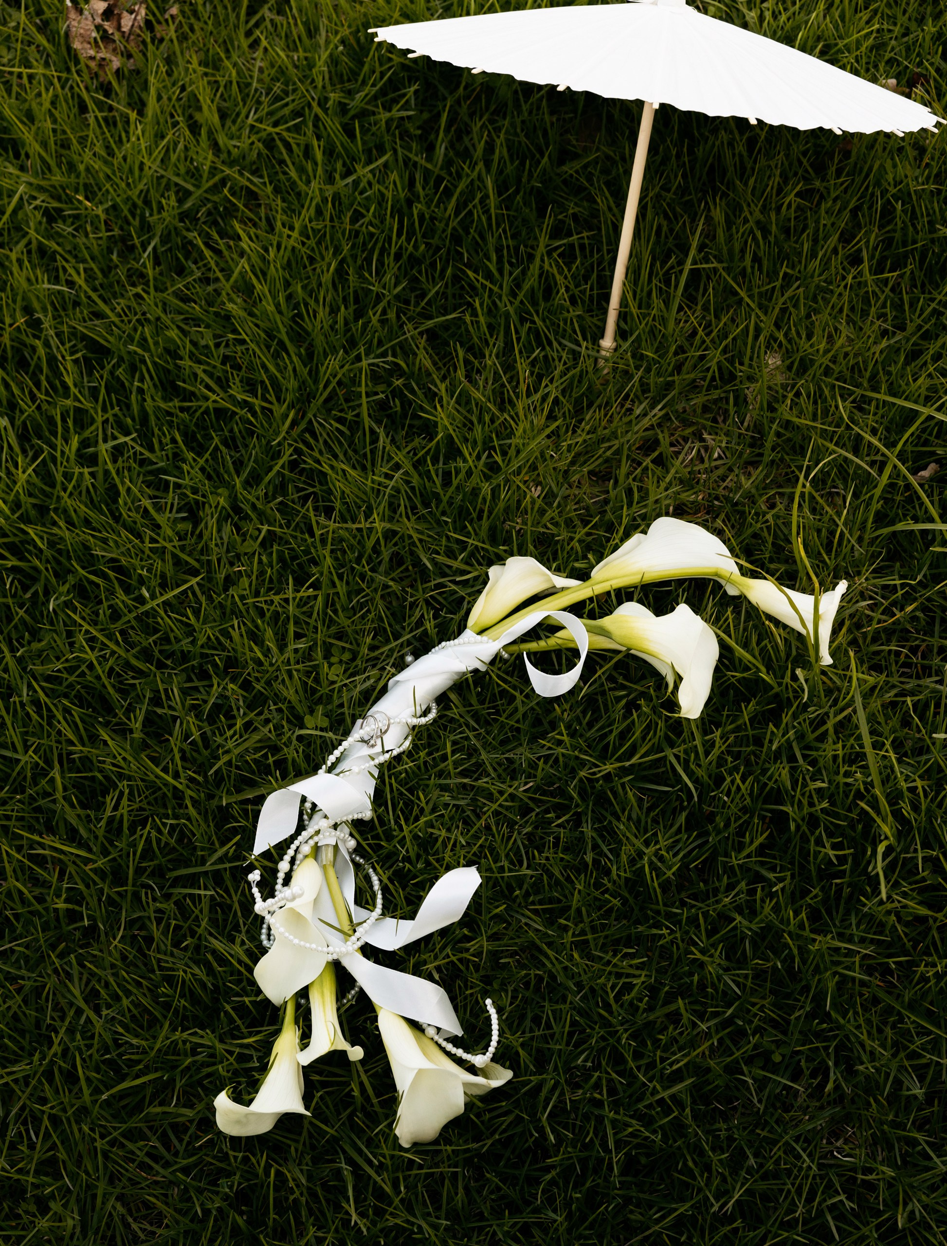 Давай, Давай ближе к солнцу…. Свадебный и Семейный Фотограф в Гатчине и Санкт-Петербурге Виктория