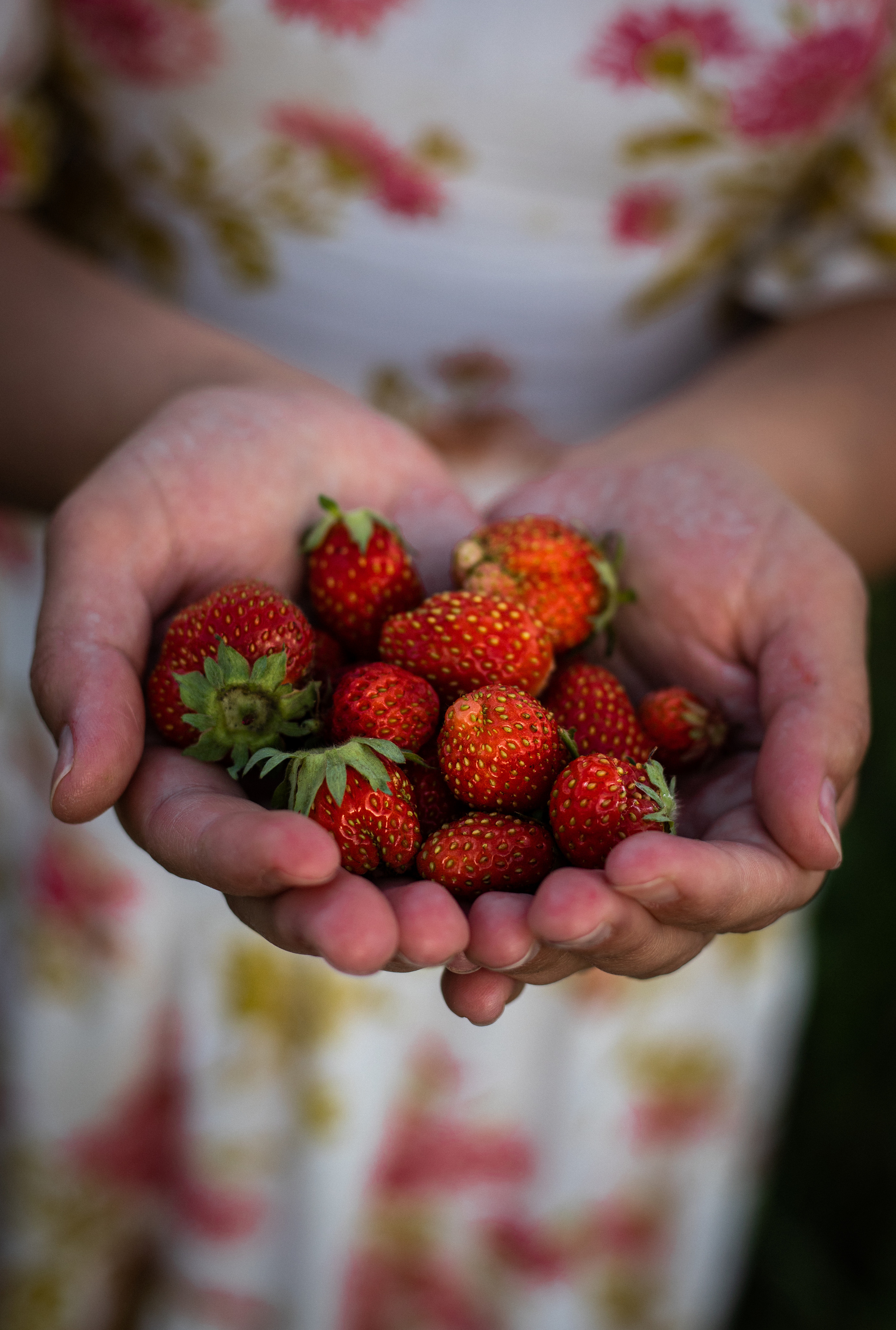 Творческий проект - Деревня. Семейный и женский фотограф Кемерово Мария Степ