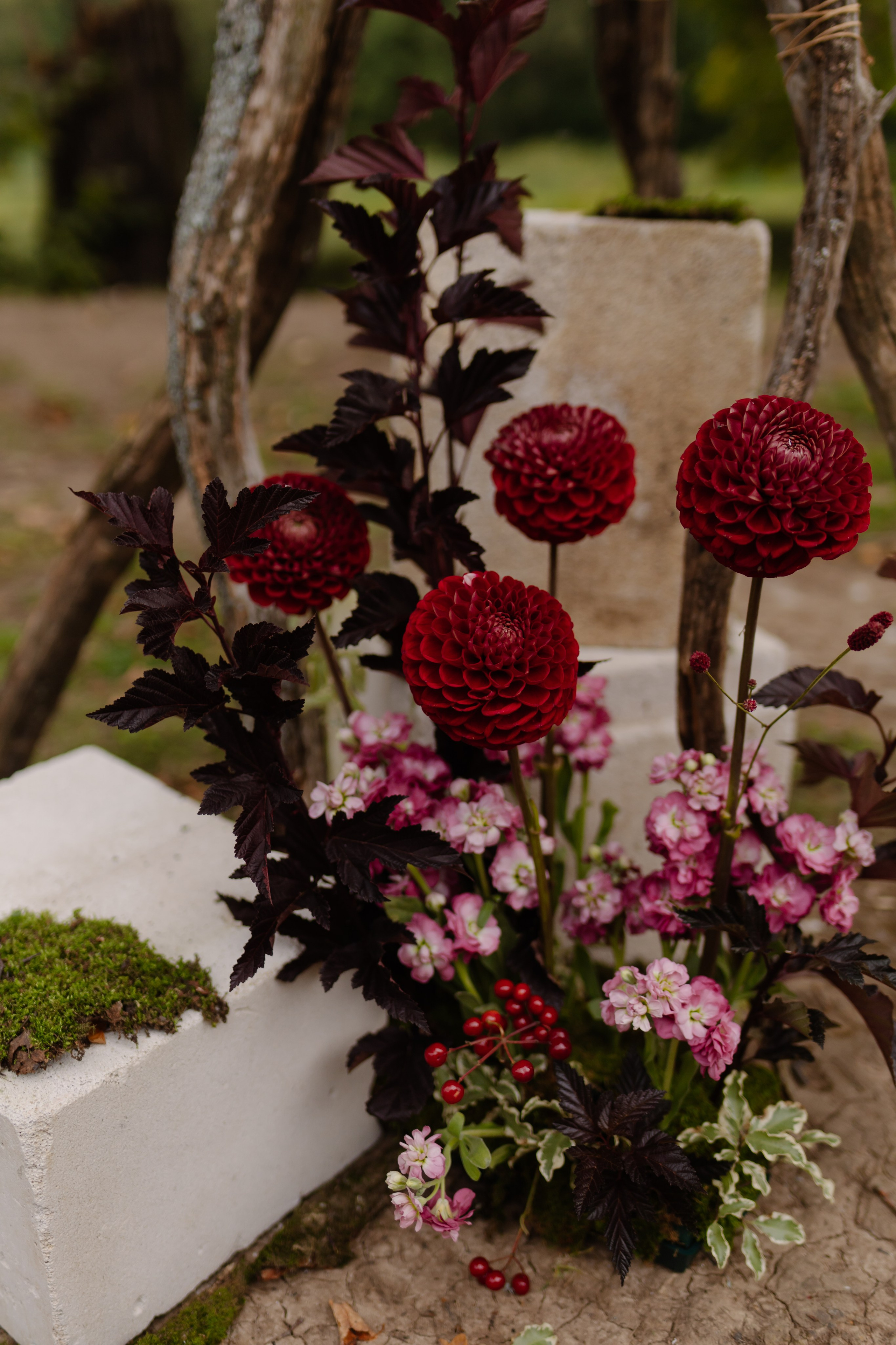 Екатерина и Сергей. Фотограф и Видеограф во Владимире