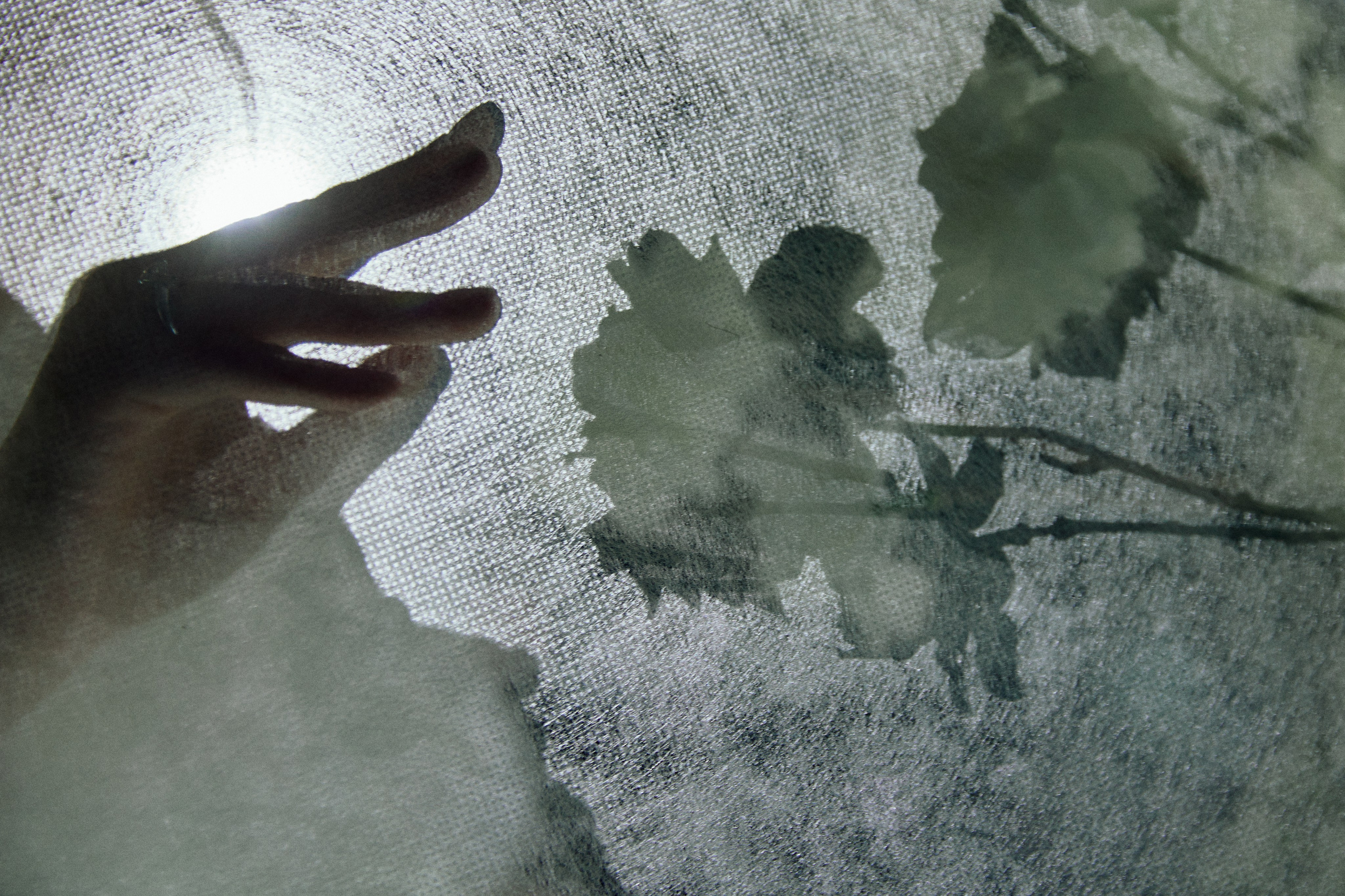 Свадебная фотосессия актера и певцы — Портфолио Дмитрия Мазуркевича. Дмитрий Мазуркевич: Профессиональный Репортажный Фотограф