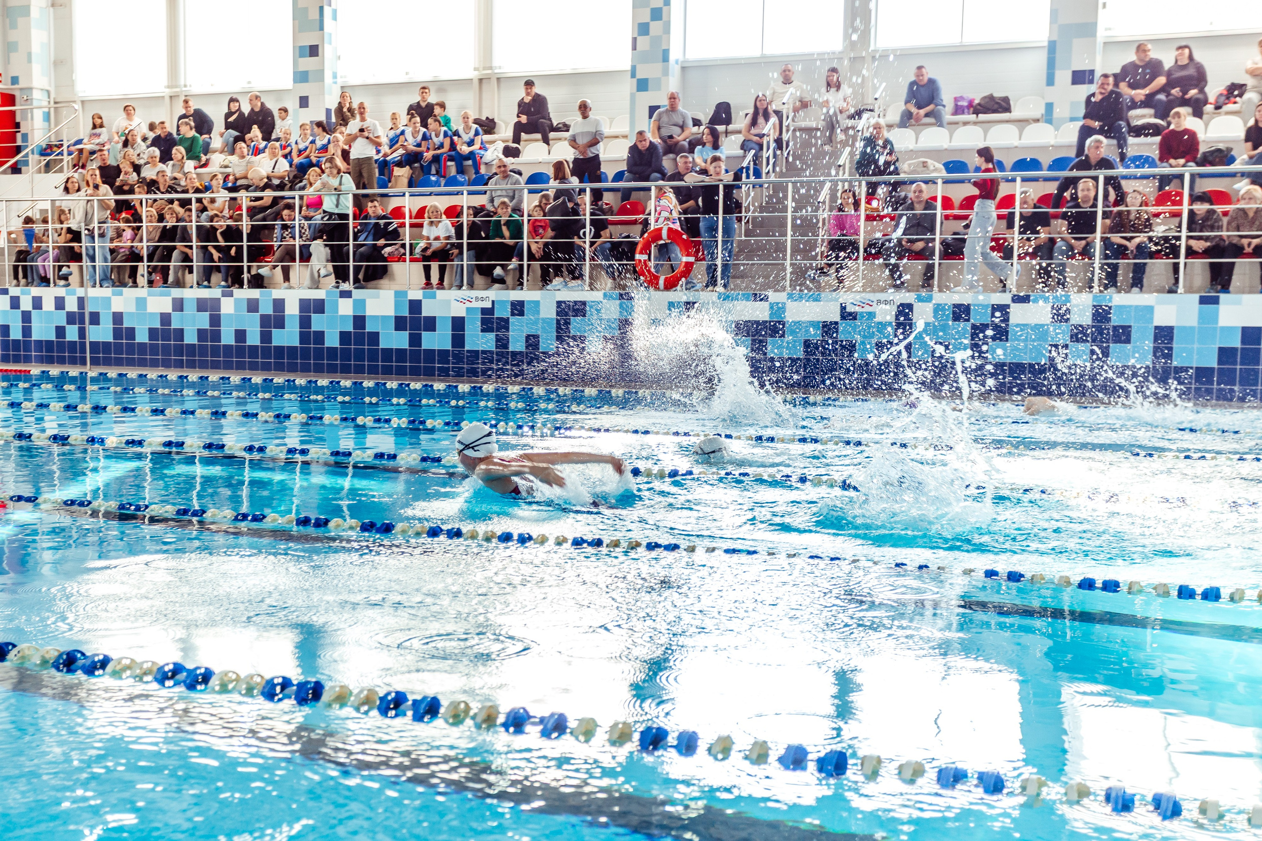 Школа плавания «Виктория». Свадебный фотограф в Краснодаре Николай Крауз