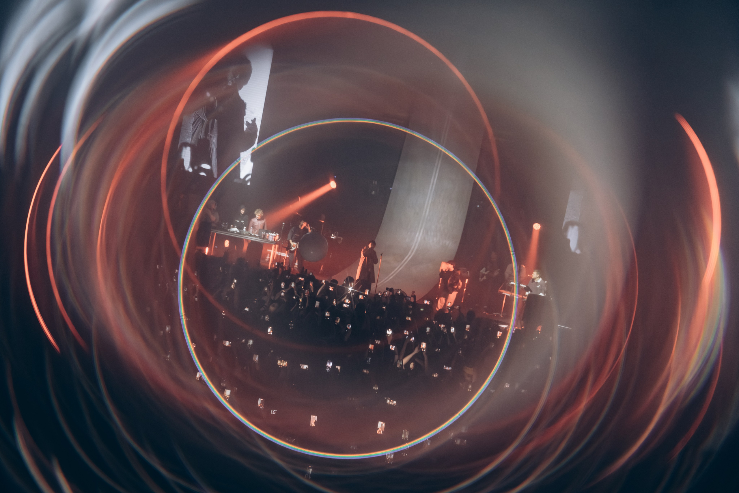 SALUKI. Фотограф Санкт-Петербурга