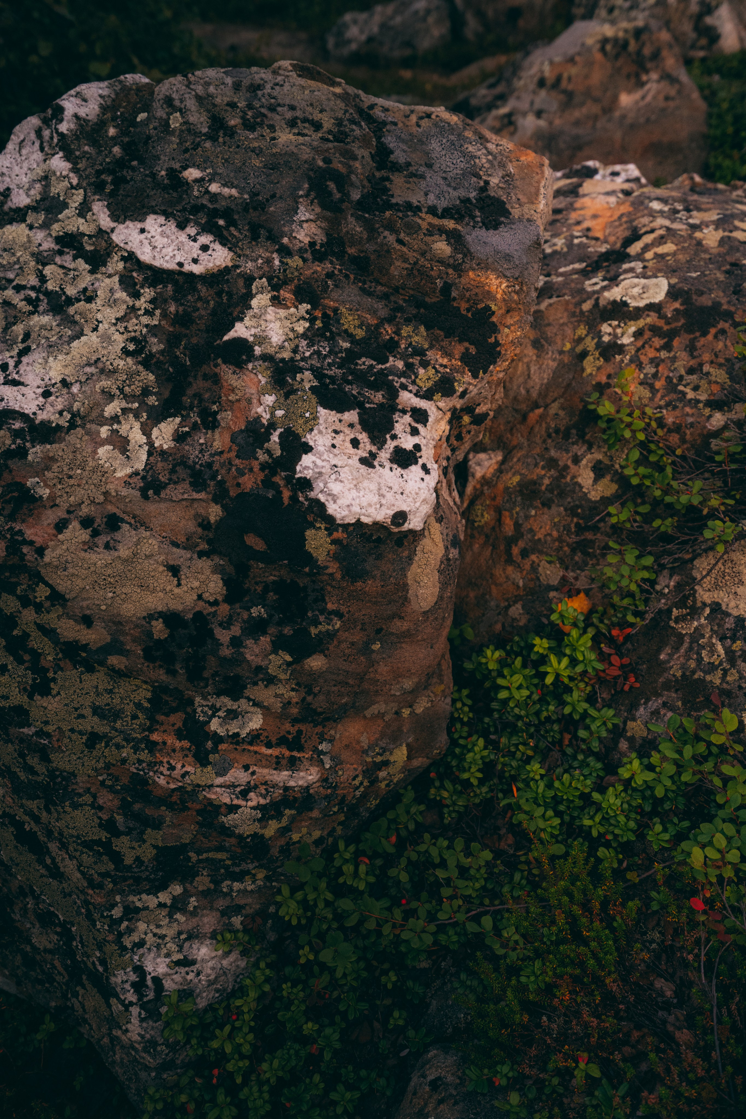 Мурманск. Фотограф Алиса Аспер