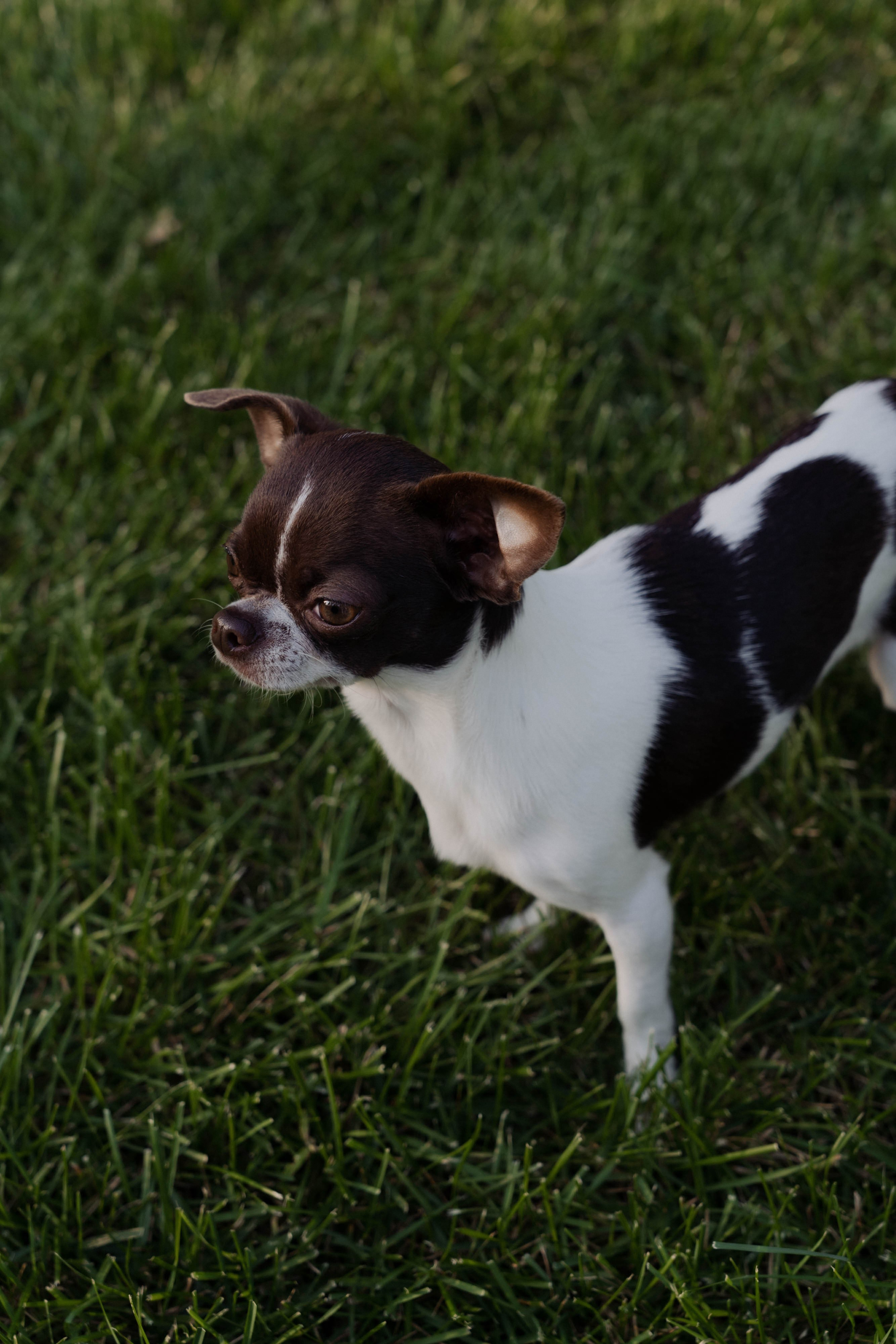 День рождения Марии. ФОТОГРАФ КСЕНИЯ СОСНОВСКАЯ