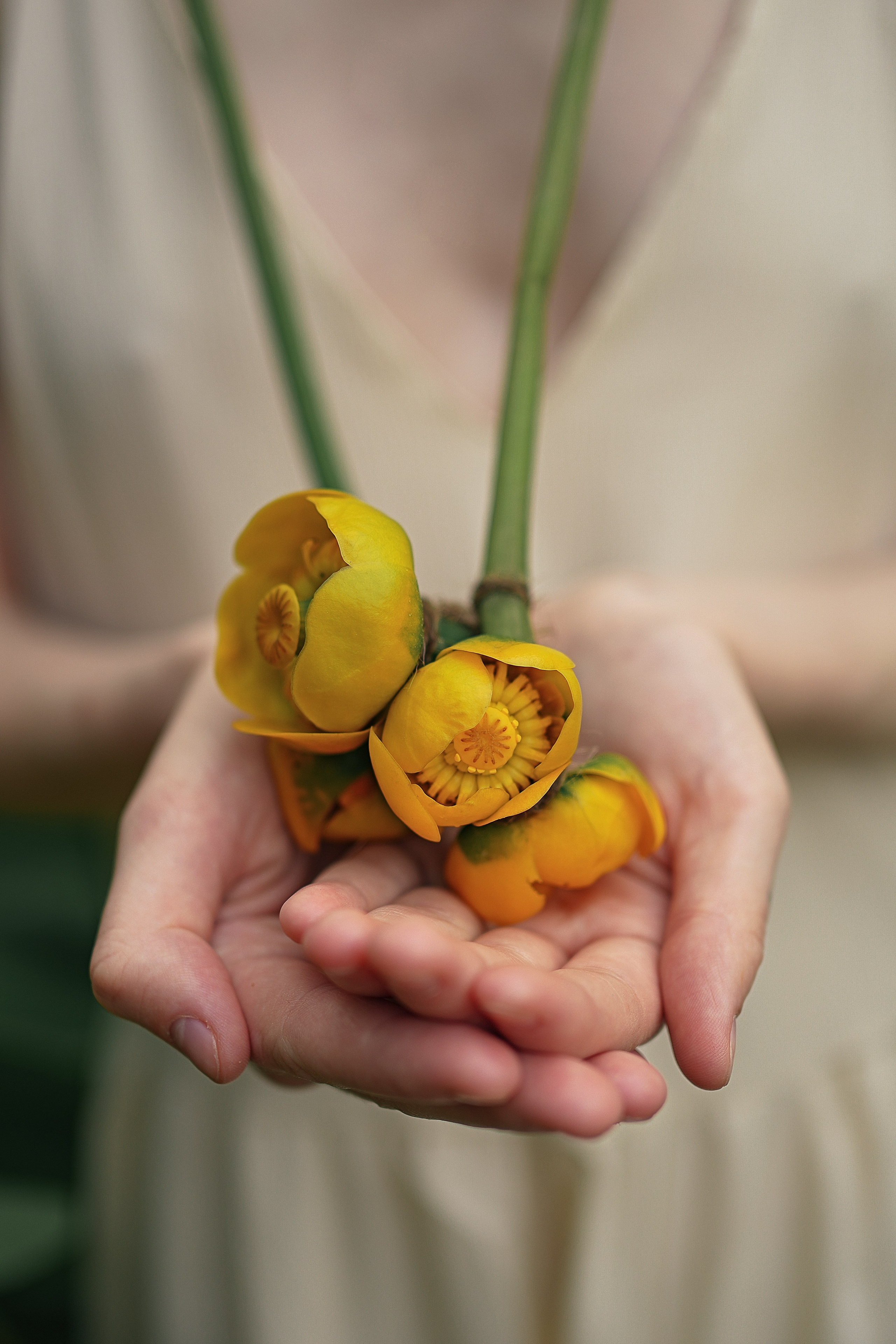 Аделия. Семейный фотограф в Санкт-Петербурге Саша Кактус