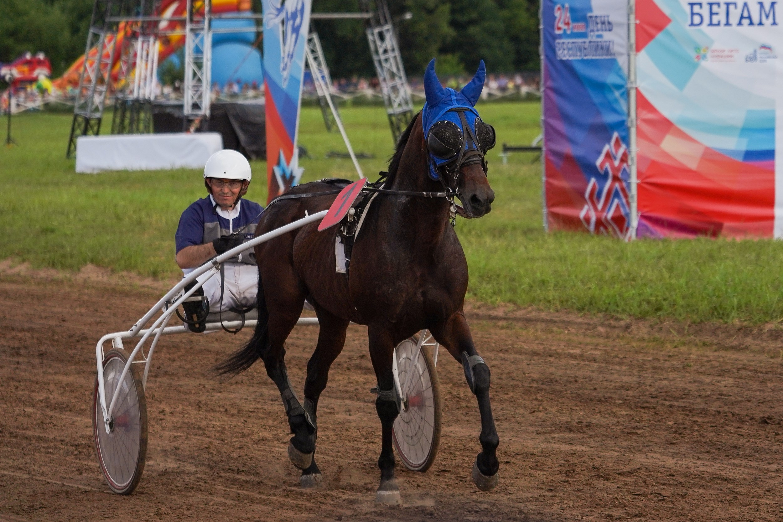 III конные бега на Кубок Главы Чувашии. Фотограф-анималист, портретный фотограф в Чебоксарах Мария Садыкова