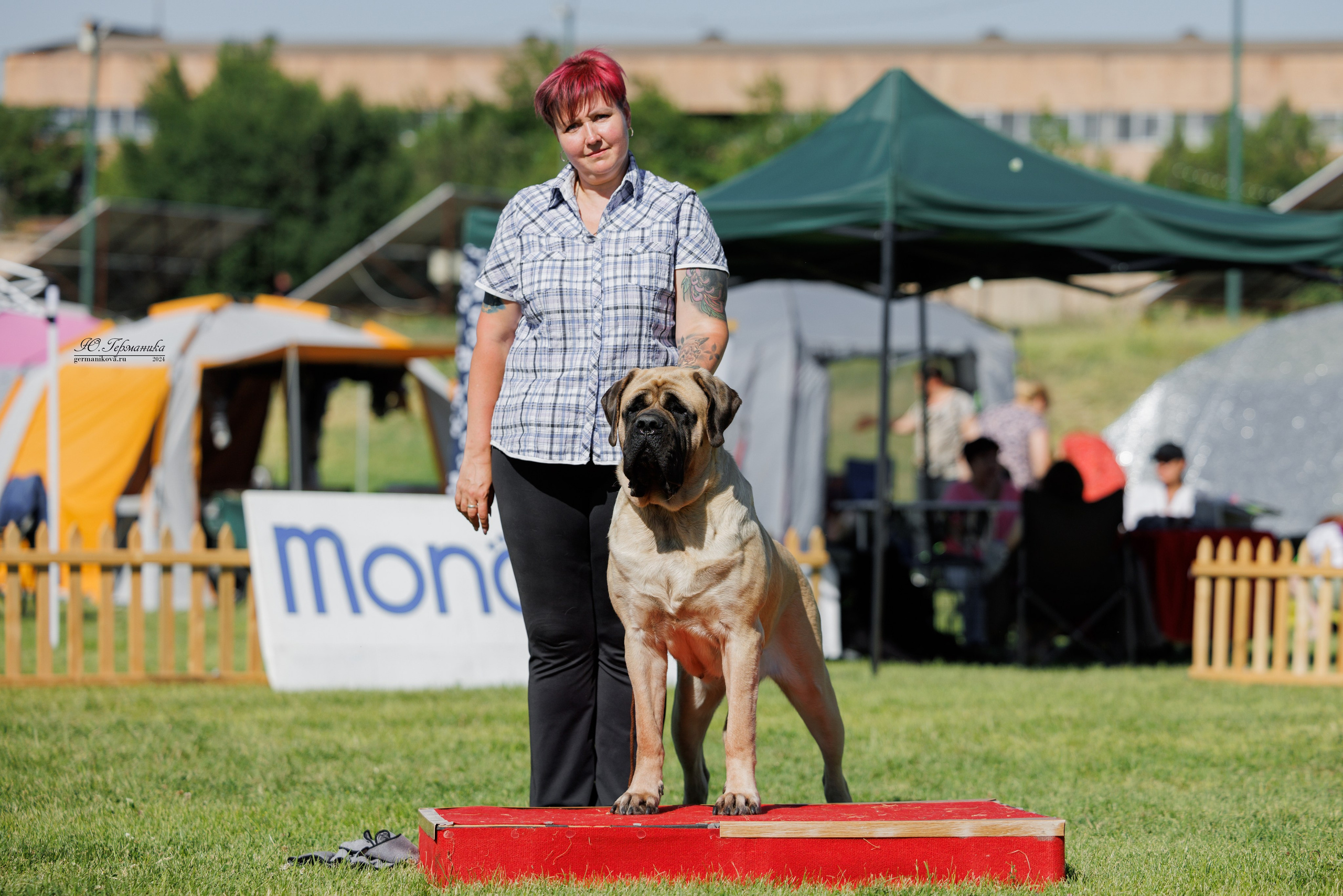 Ереван 3-5.06.2024. Фотограф-анималист Юлия Германика