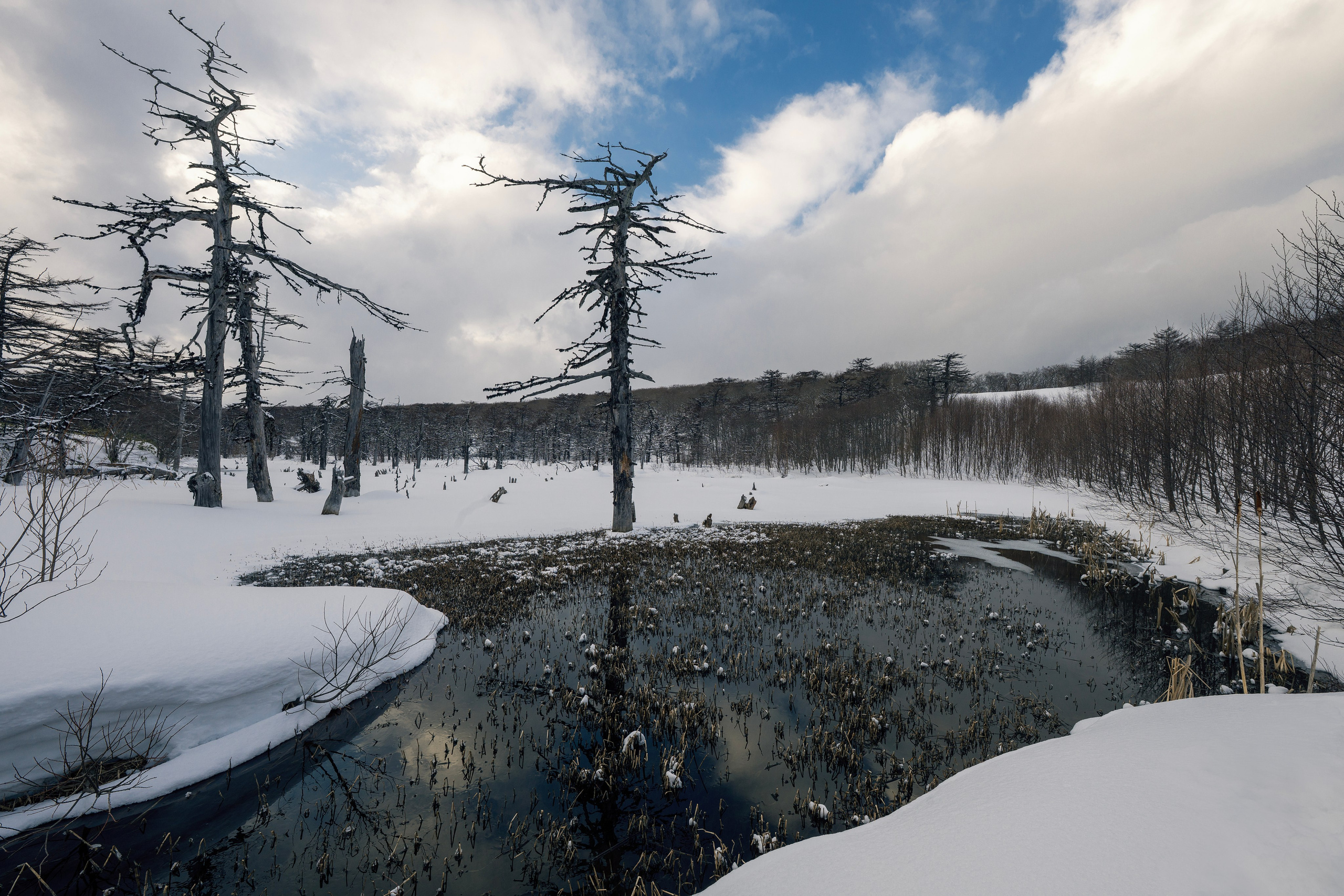 Курильские острова. Портретный фотограф в Челябинске Катерина Руди