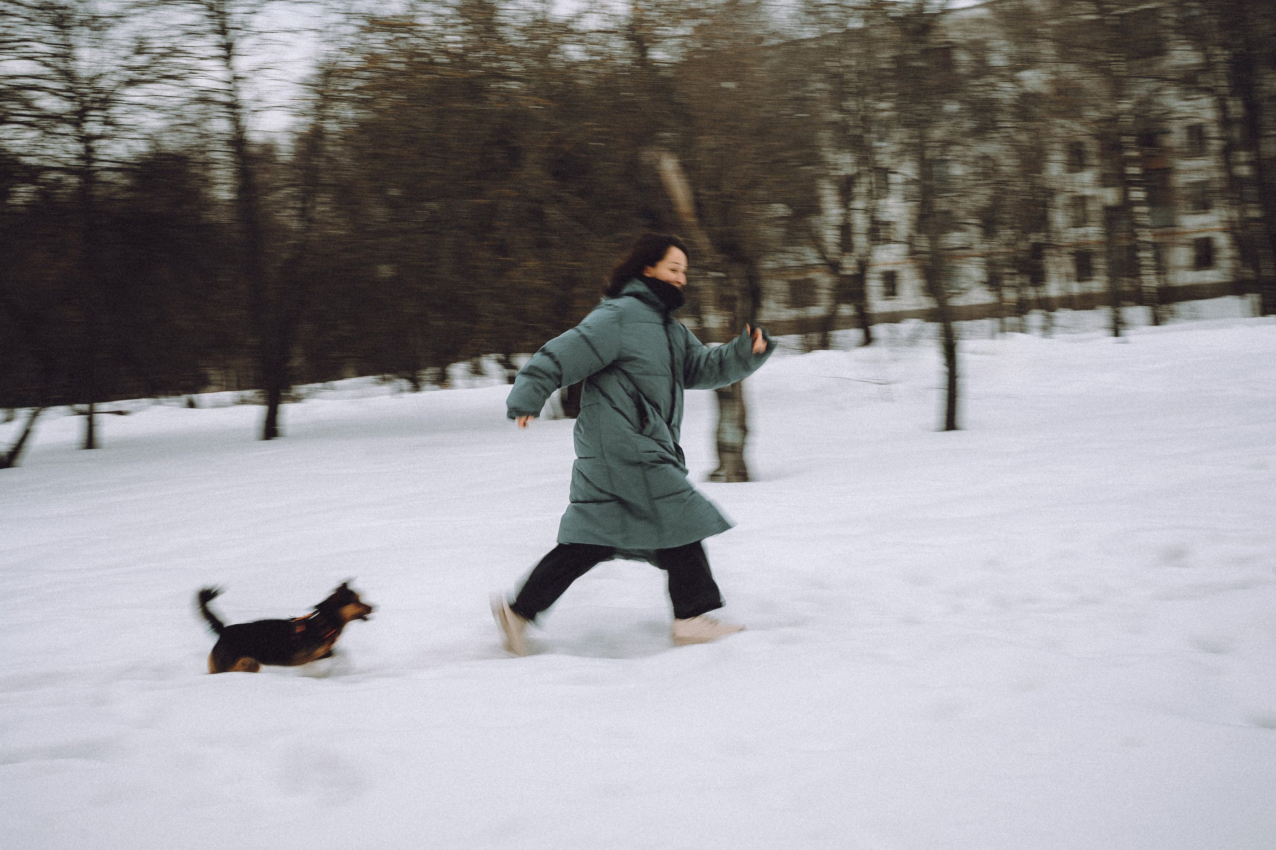 Инна и Чуви. Семейный фотограф животных, анималист в Москве Екатерина Киреева