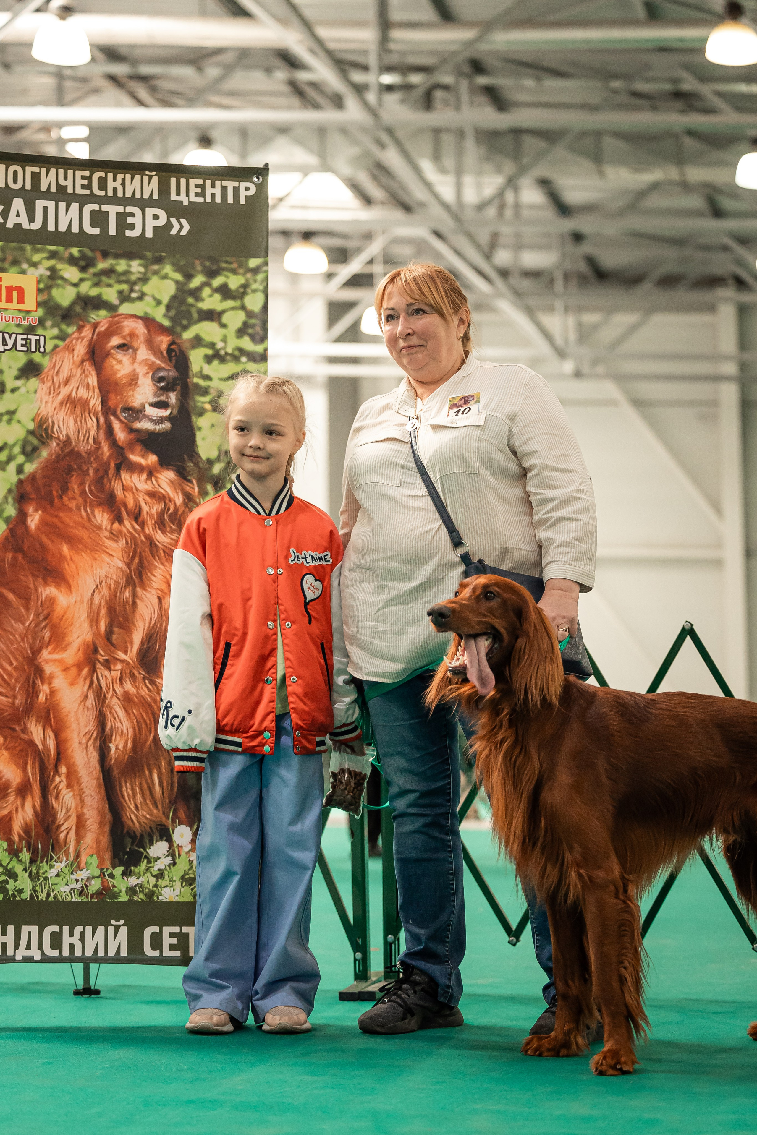 Выставка сеттеров 19.05.24