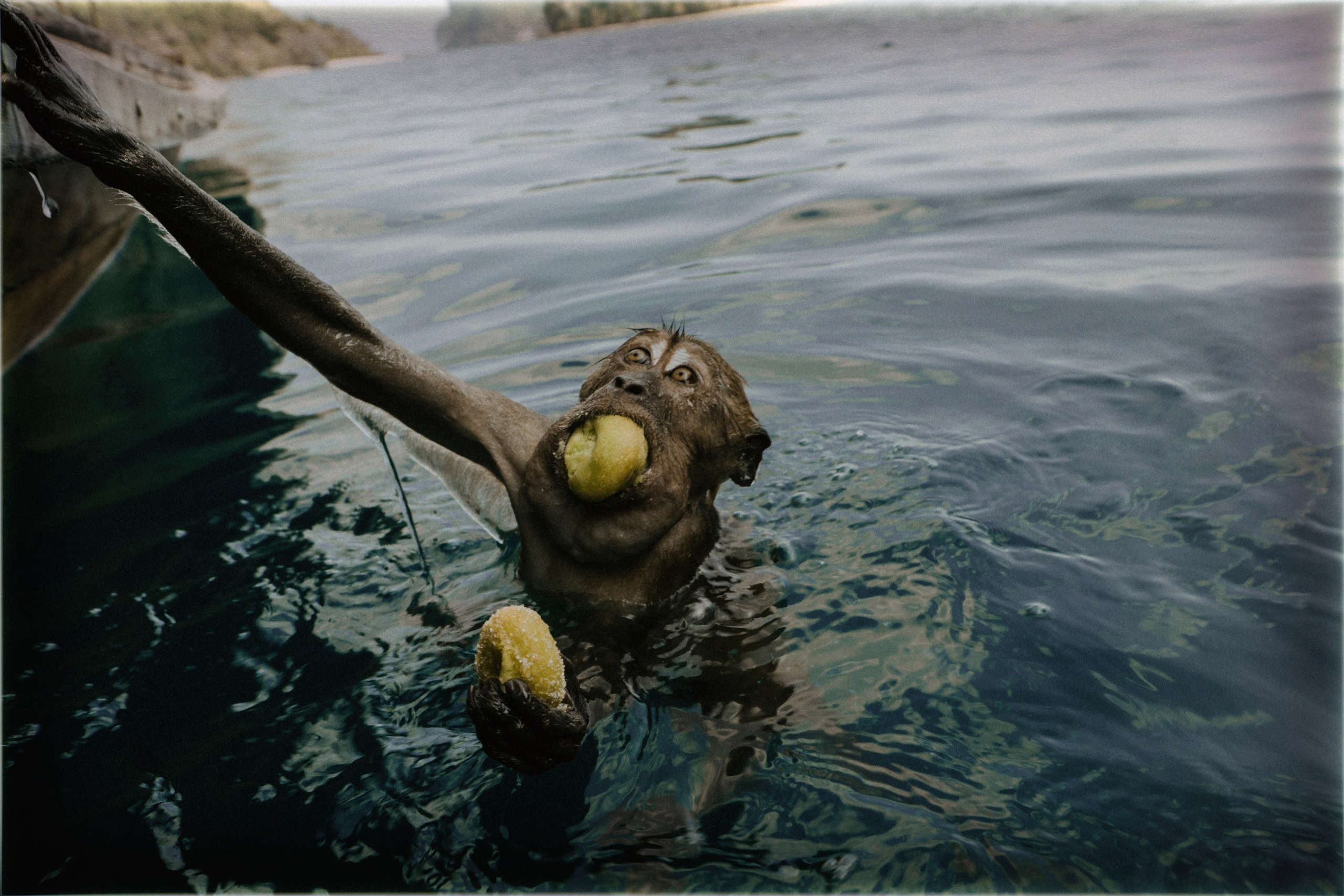 Таиланд. Портретный и репортажный фотограф в Санкт-Петербурге Дарья Сибирякова