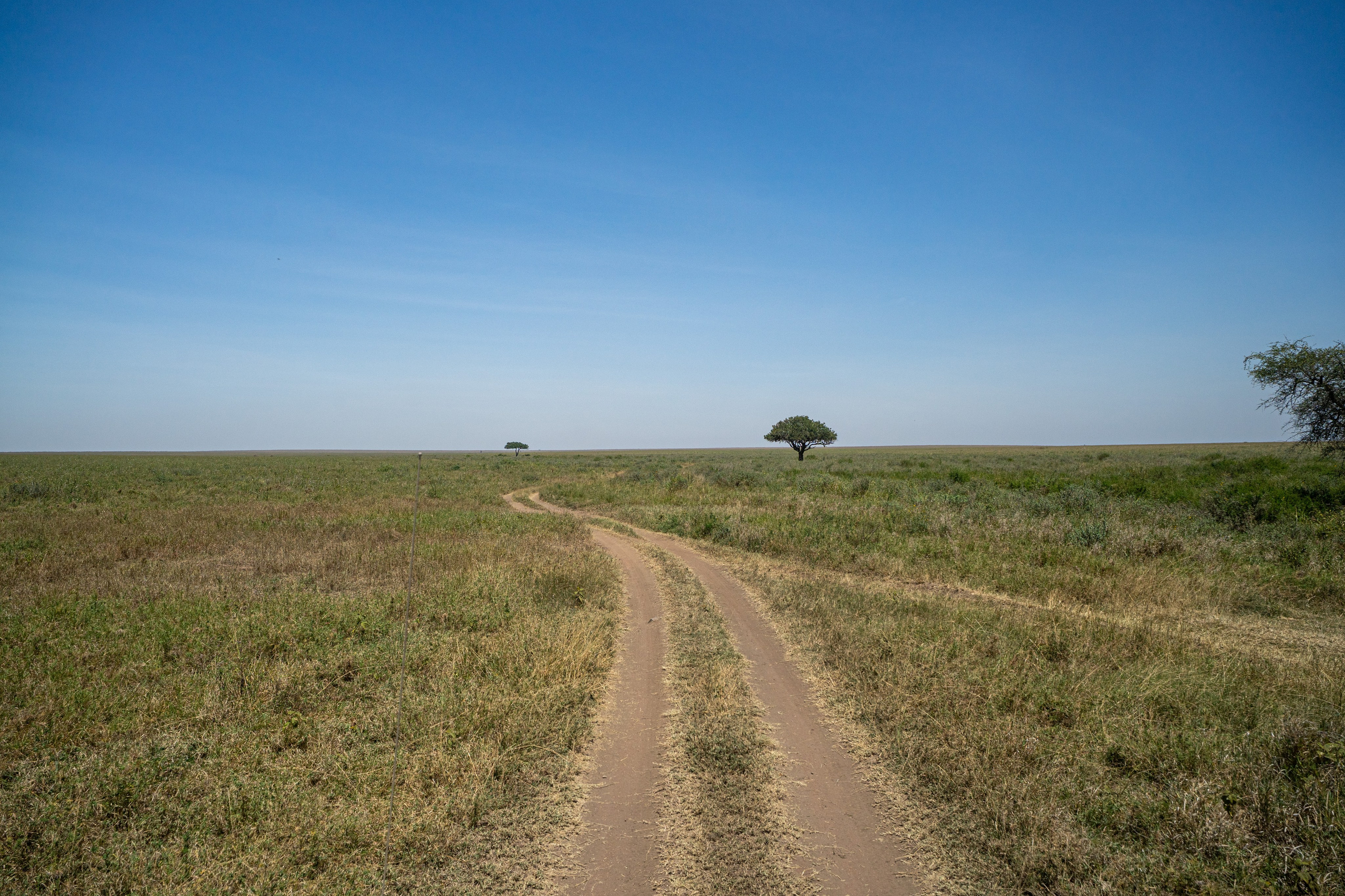 Танзания, сафари, 2025. Творческие сьемки