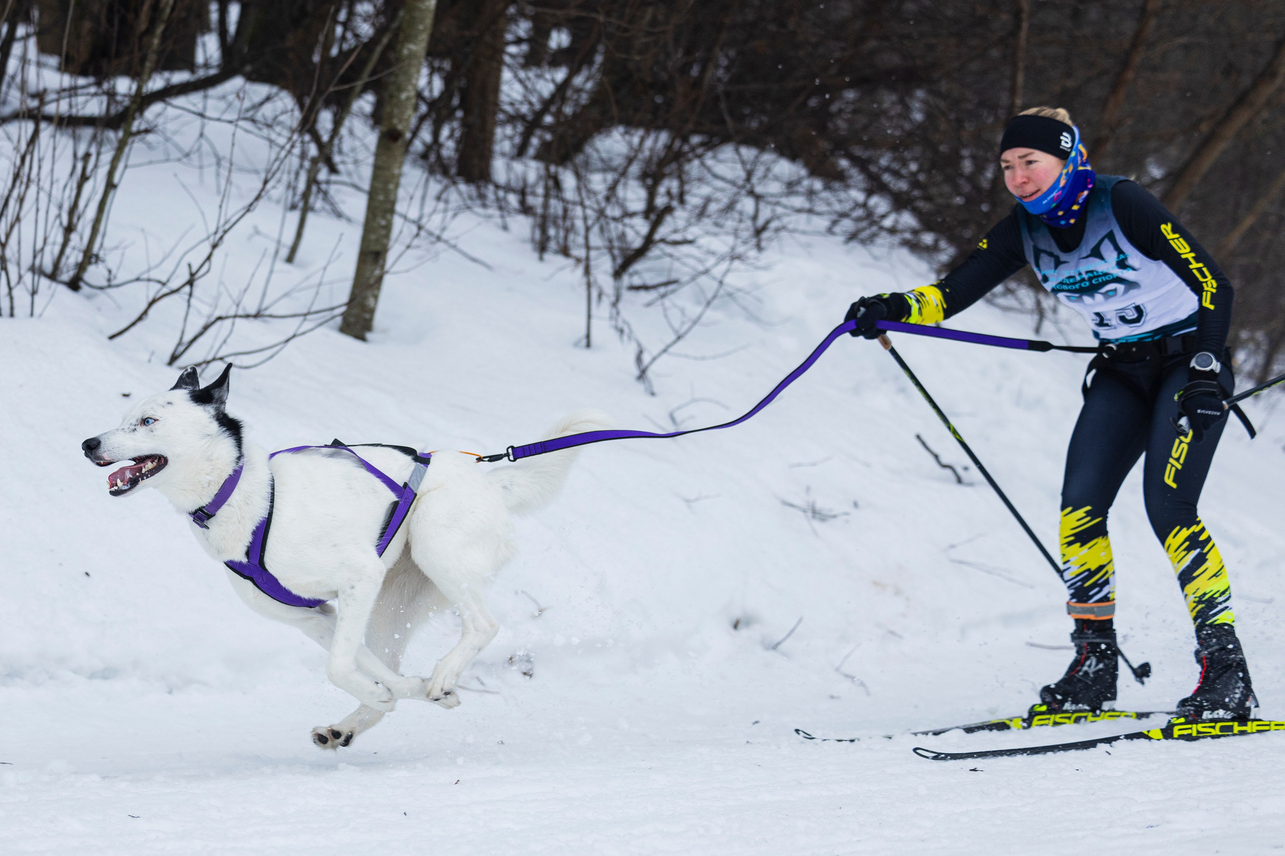 Зимний Чемпионат Санкт-Петербурга по ездовому спорту. Фотограф-анималист Анна Маринич