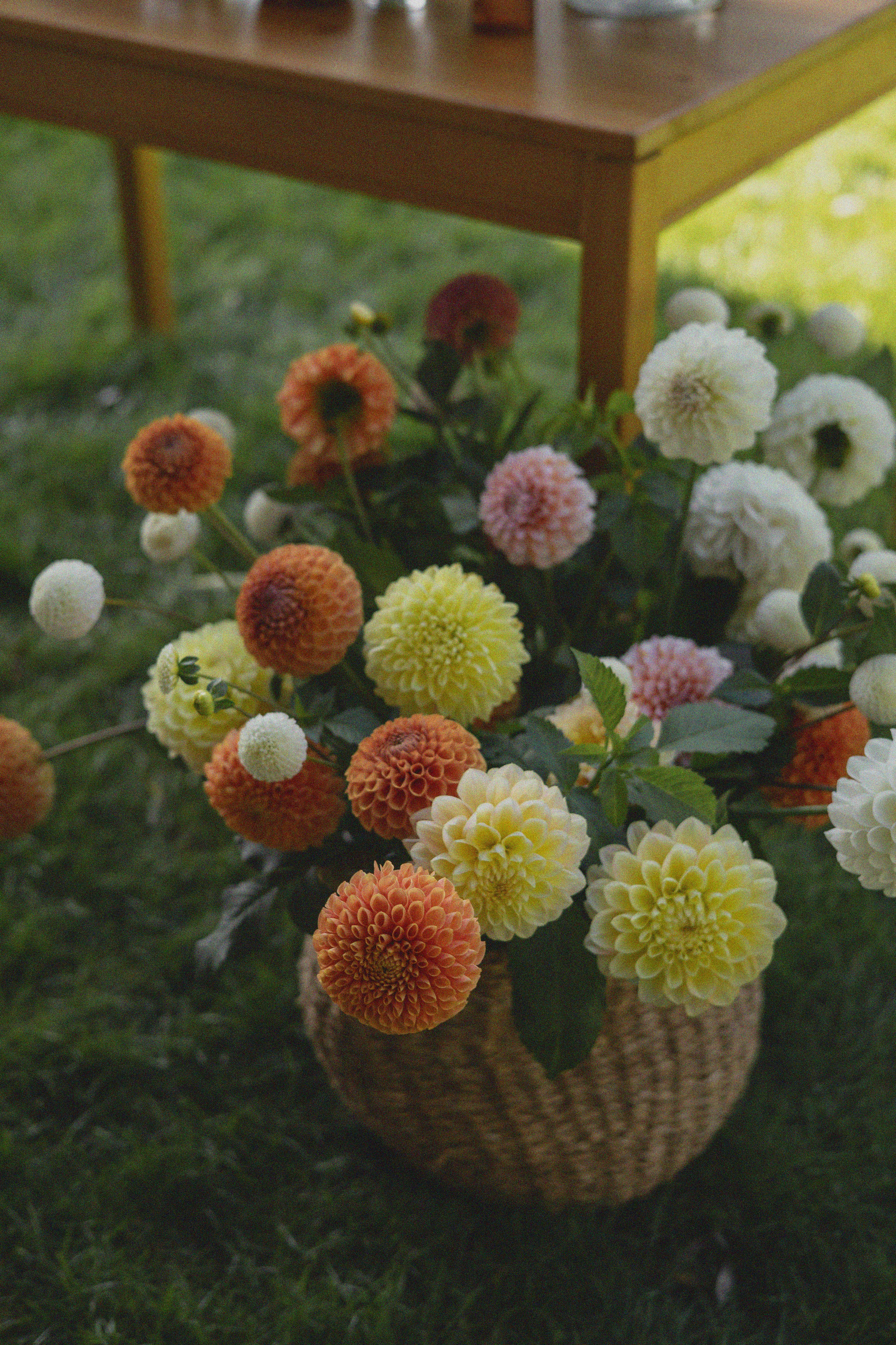 ДИНИЯ. Фотограф Элла Ефимова