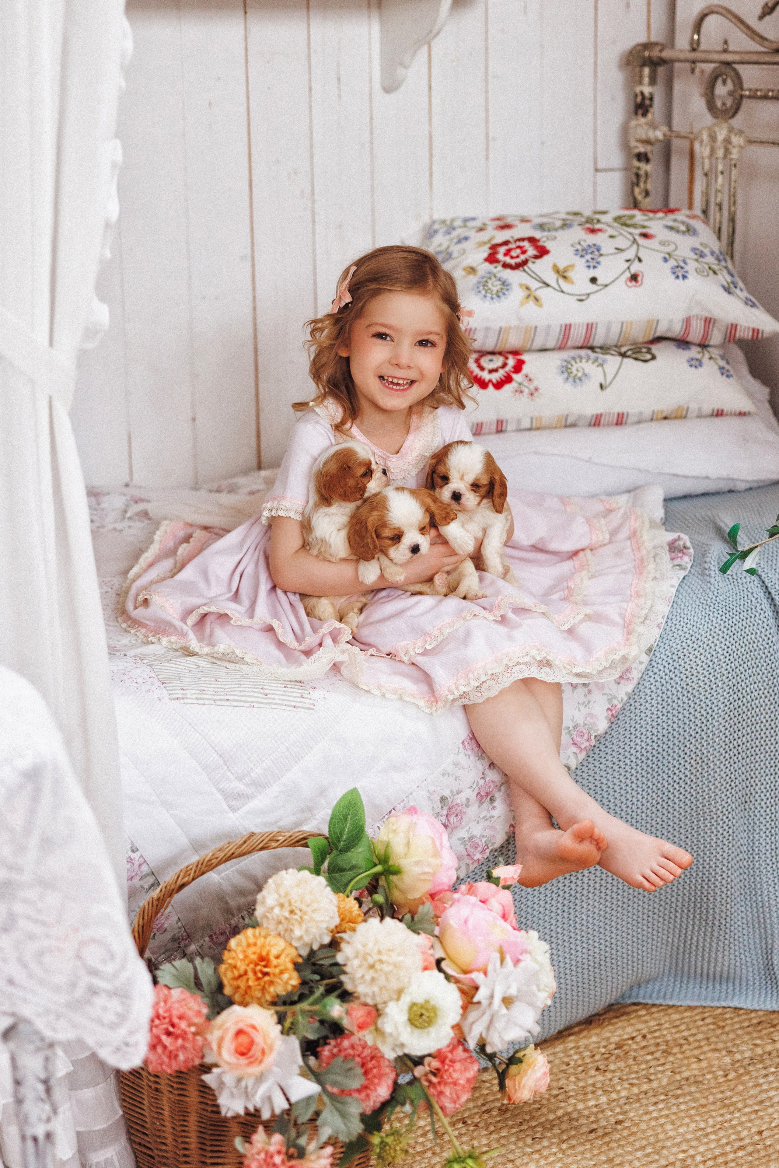 Фотосессия с щенками Кавалер кинг чарльз спаниель, фотостудия Ольги Сурухановой, город Краснодар. Семейный и детский фотограф в Краснодаре Анна Трашкова