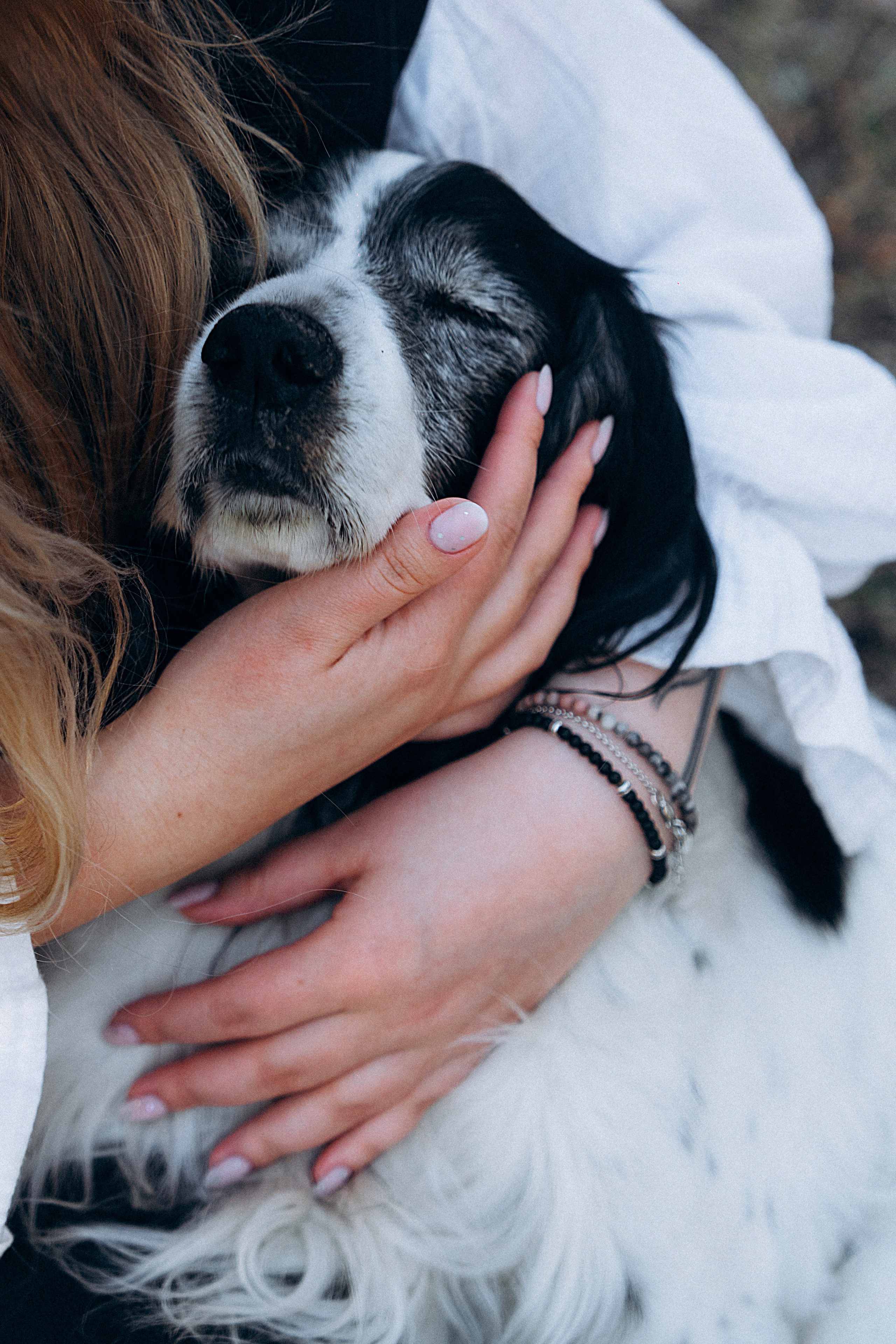 Хвостики. Главная