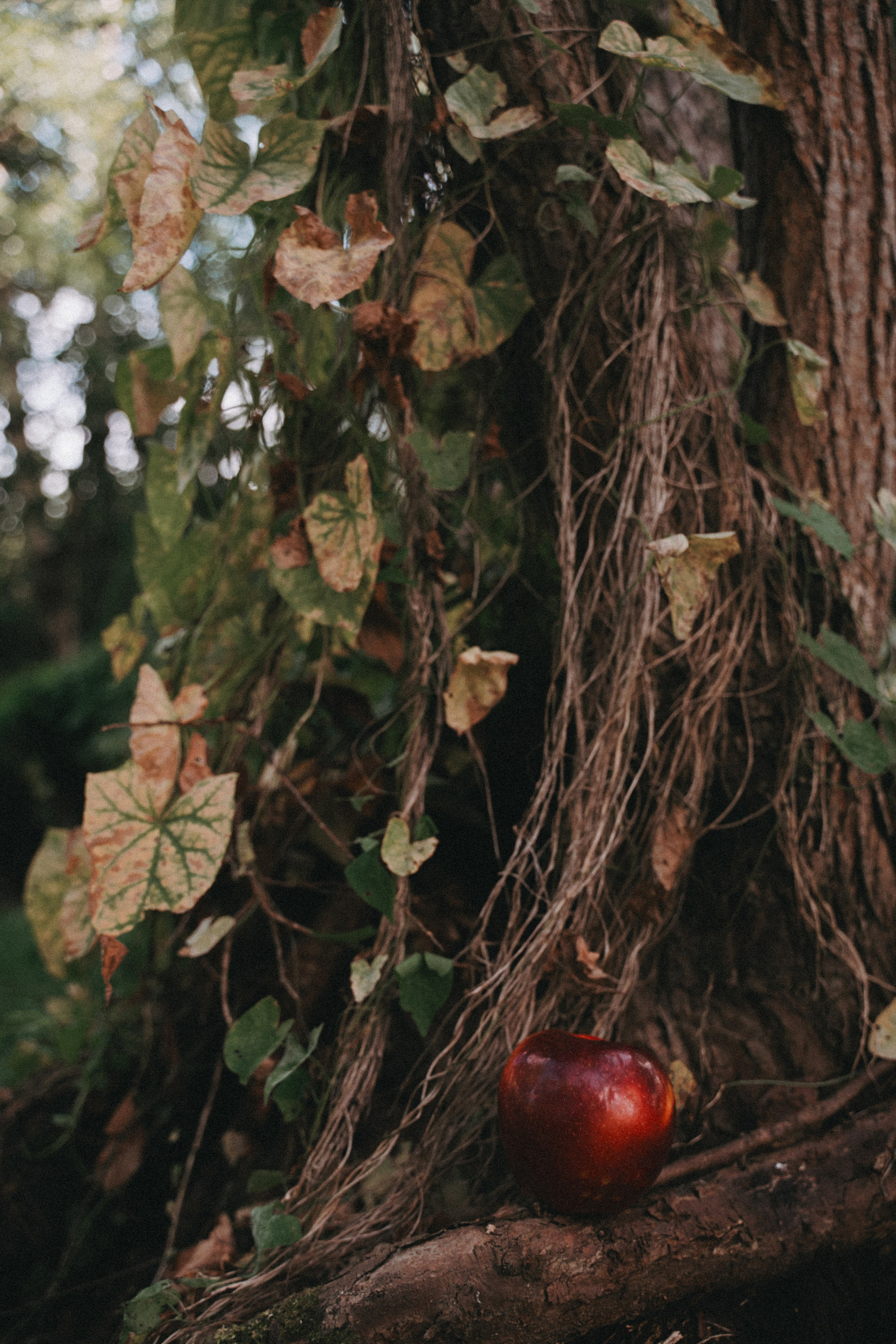 Художественные. Главная