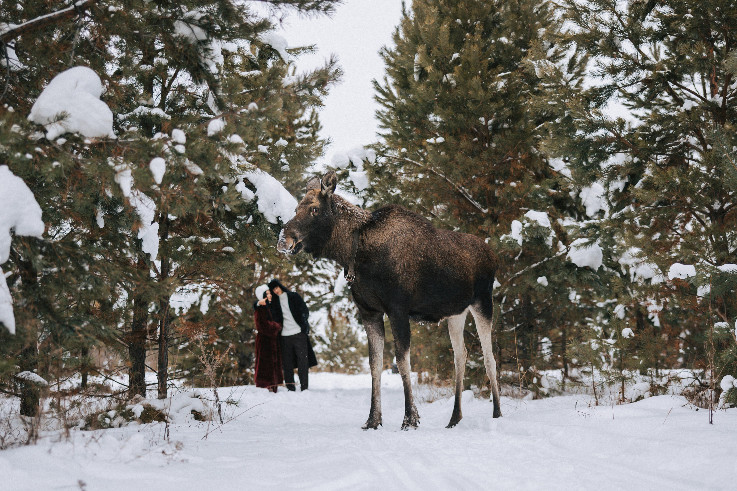 Зимняя прогулка. Свадебный и семейный фотограф в Екатеринбурге Бондаренко Евгений