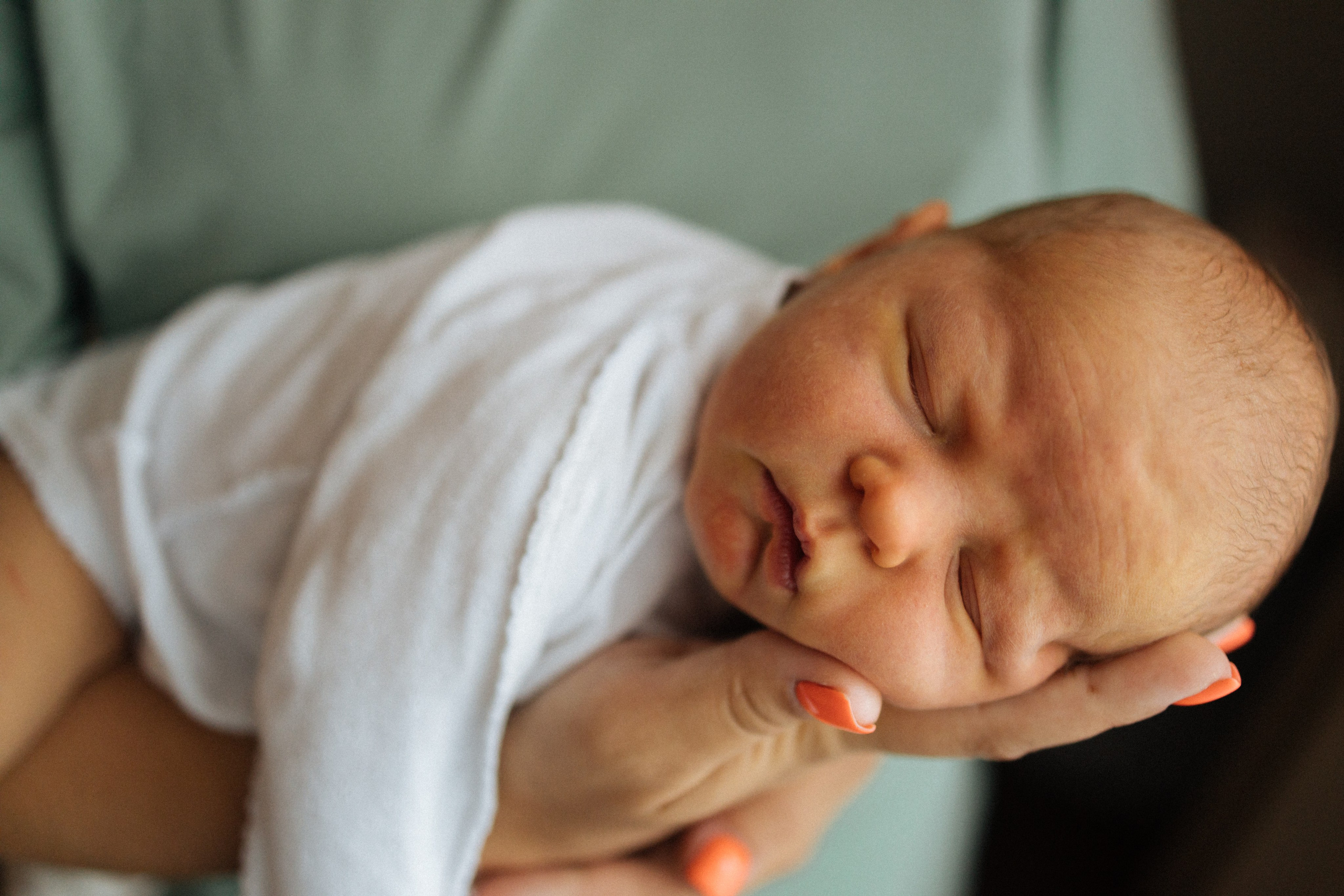 Домашние. Главная