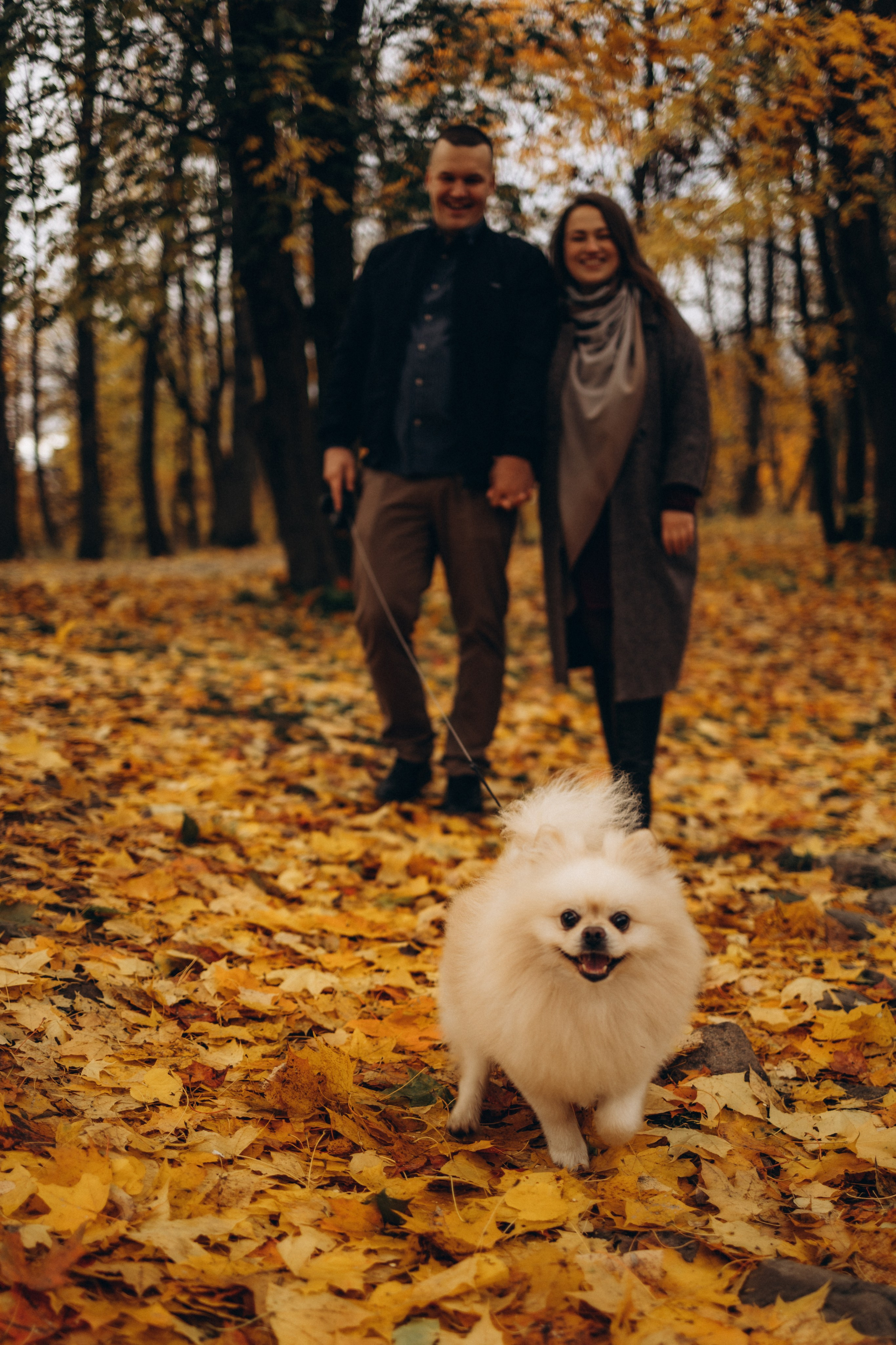Осенняя семейная (12.10.2025 г.) г. Обнинск (Калужская обл.). Надежда Стар семейный и церковный фотограф в Жукове и Калужской области