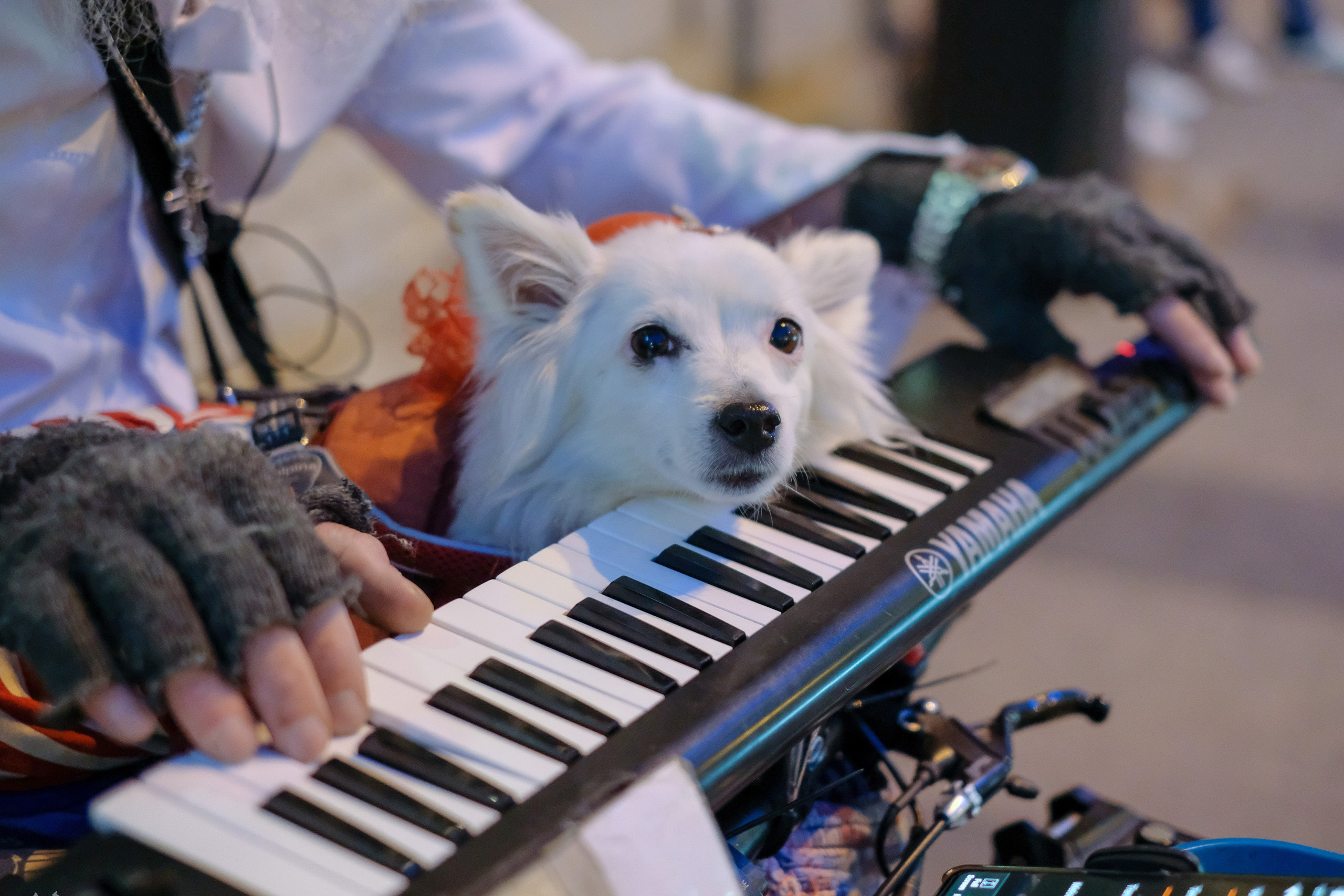 Питер. Фотограф Дмитрий Алексеев