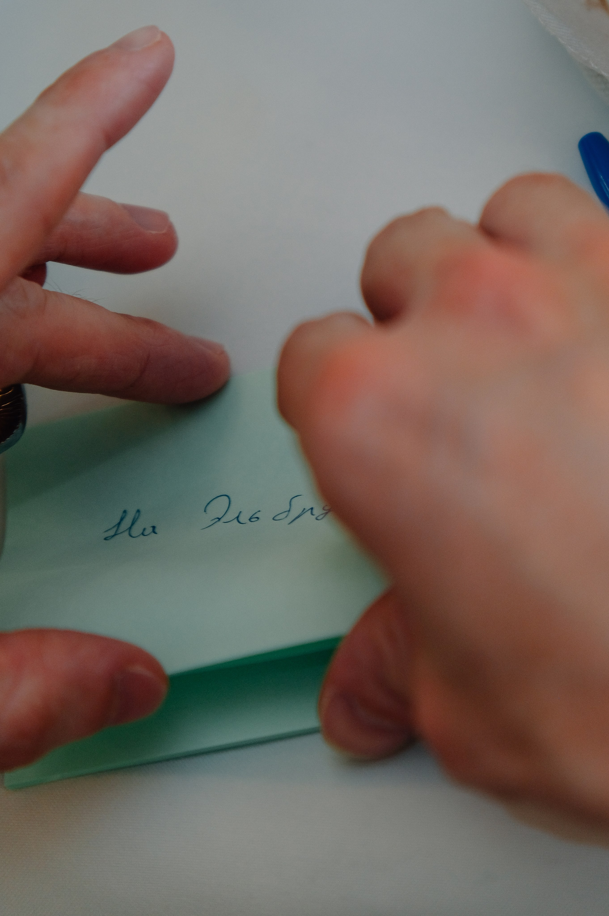 Александр и Мария. Фотограф и видеограф в Москве Полина Абраменкова