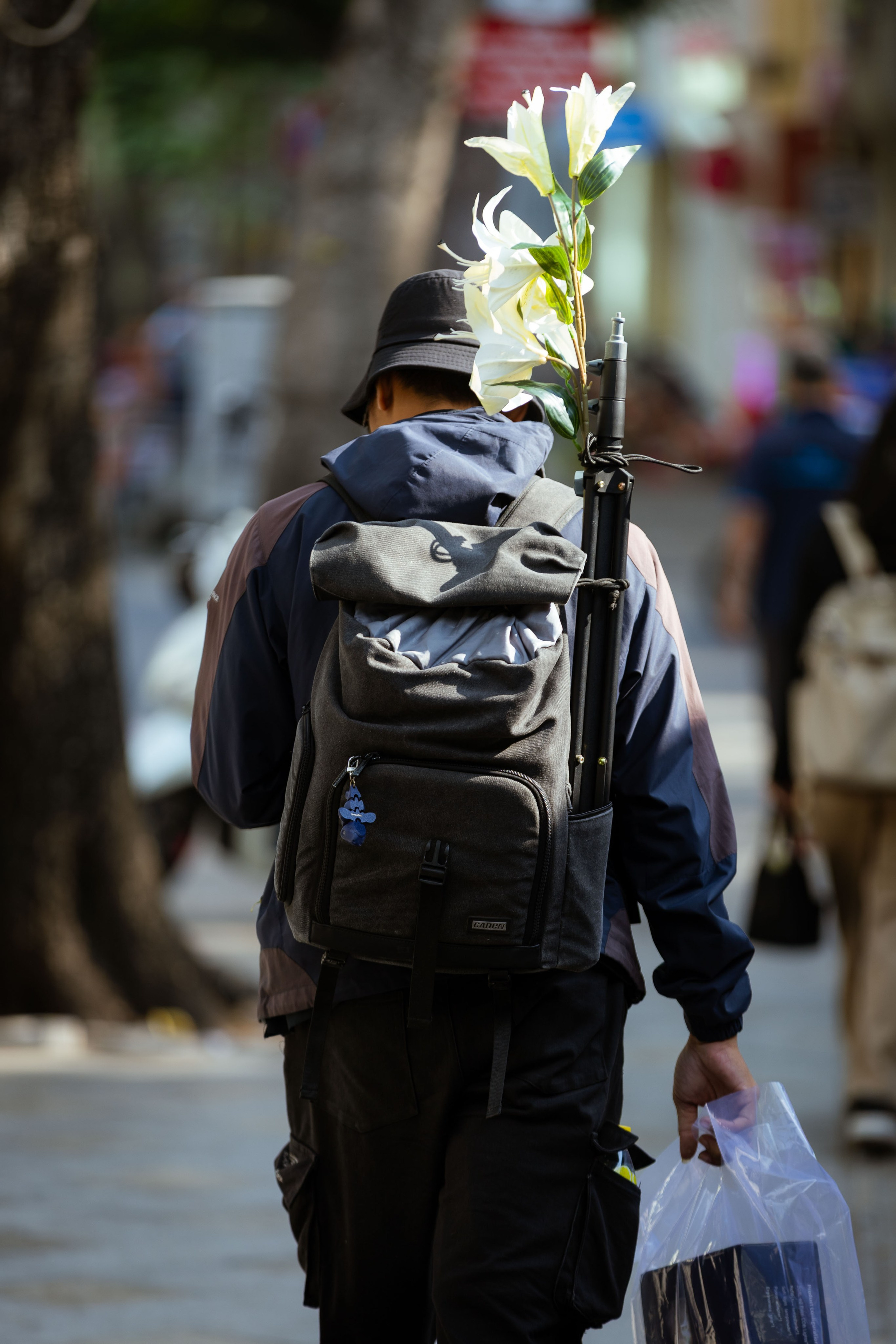 Вьетнам (зима 2025-2026). Фотограф Виноградов Константин