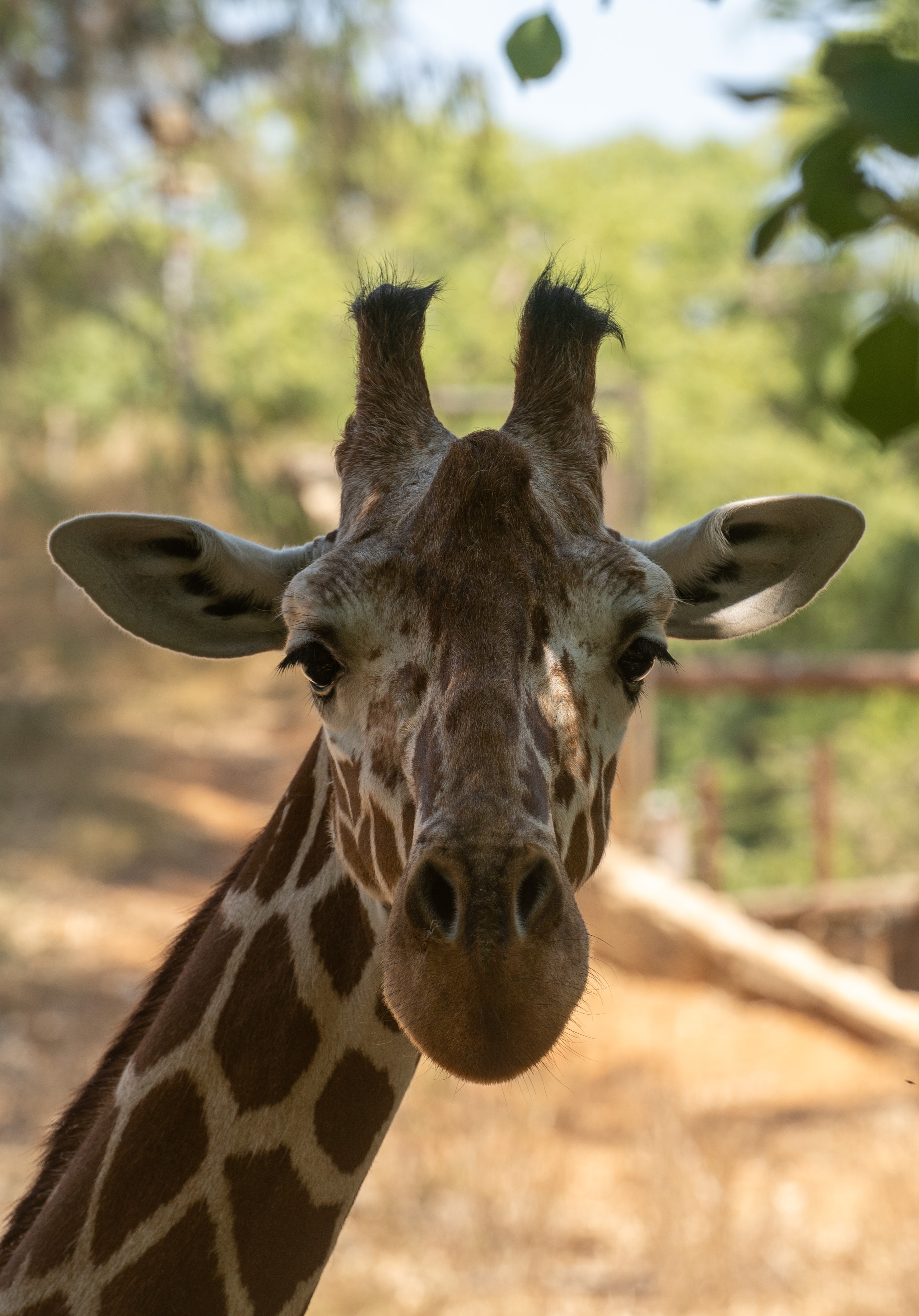 RAMAT GAN NATIONAL PARK. Семейный и travel-фотограф из Израиля