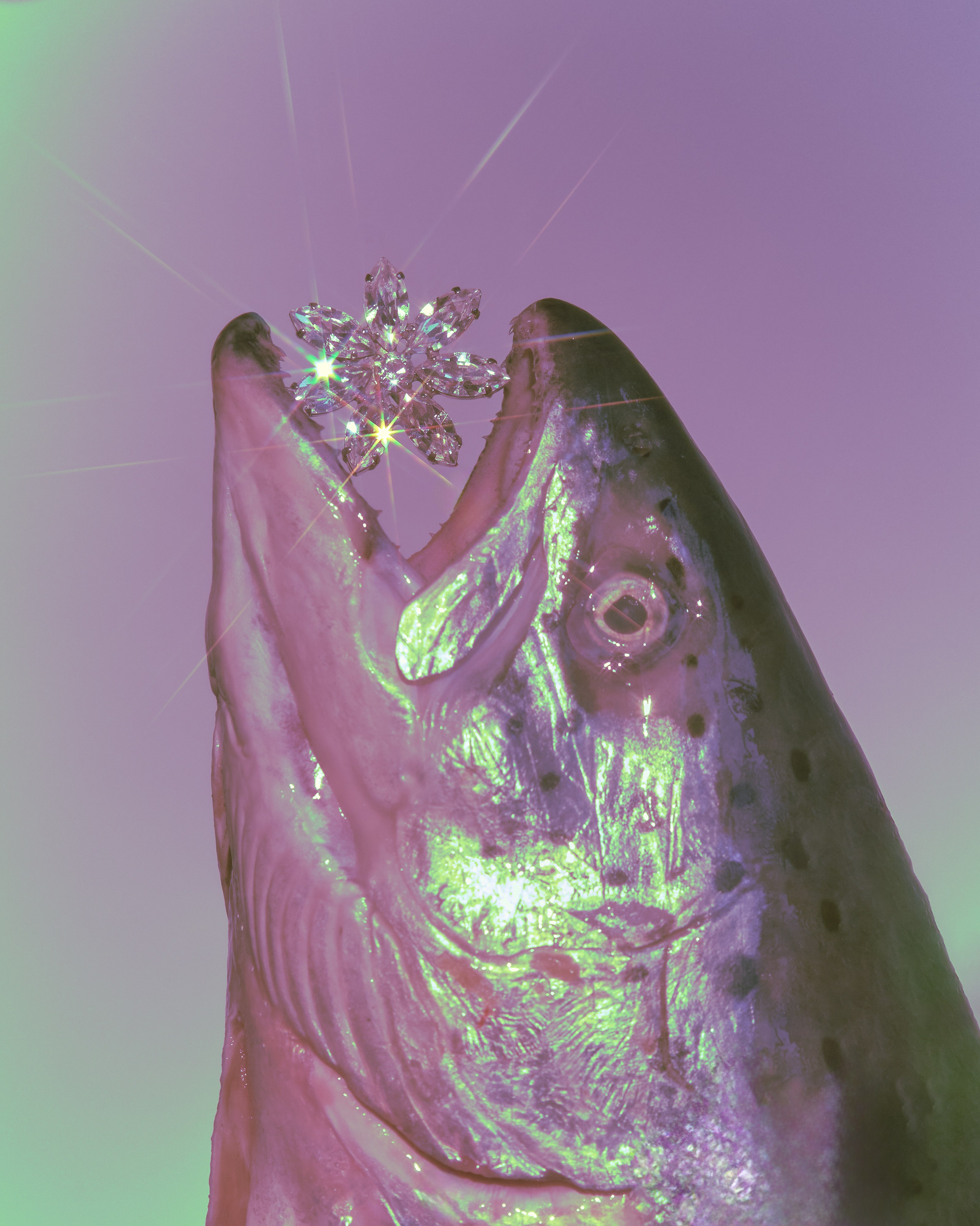 Still Life. Фотограф в Москве Елена Хомякова