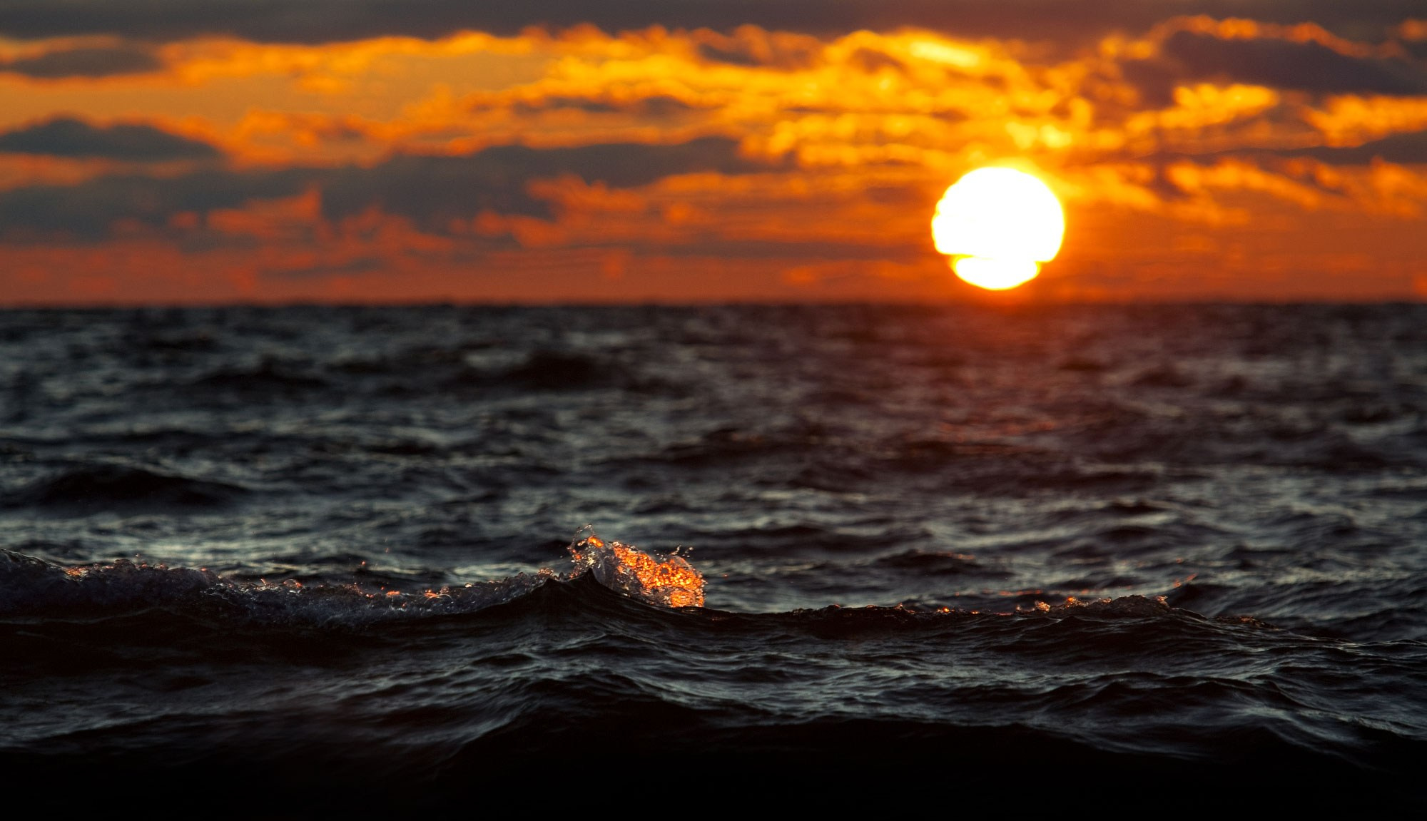 Свадебный фотограф в Геленджике