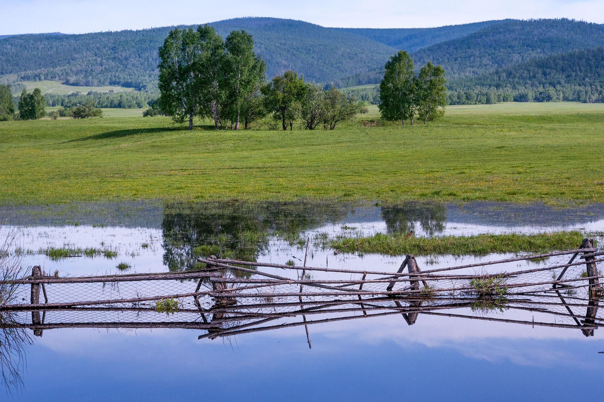 Свадебный фотограф в Геленджике