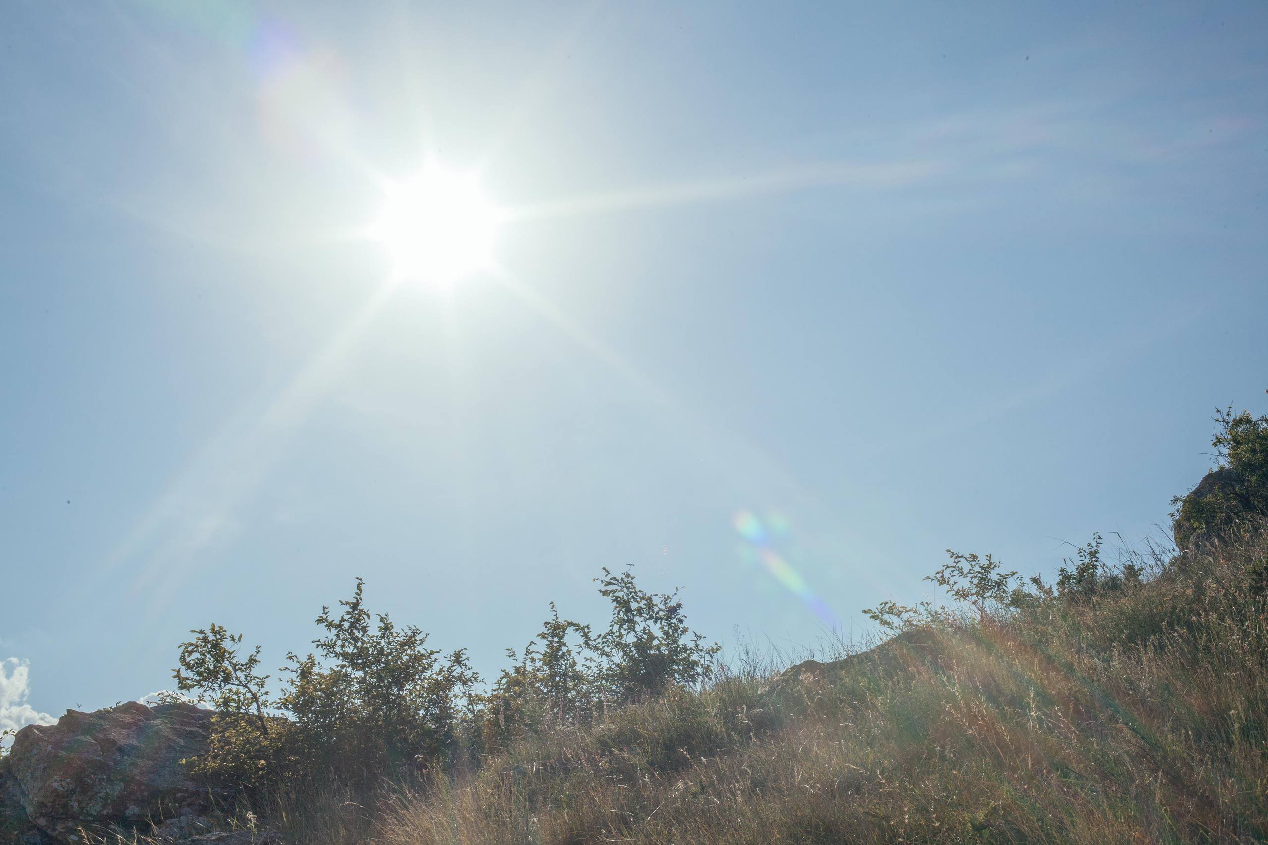Дом у дороги / тропами детства /. Фотография, как она есть
