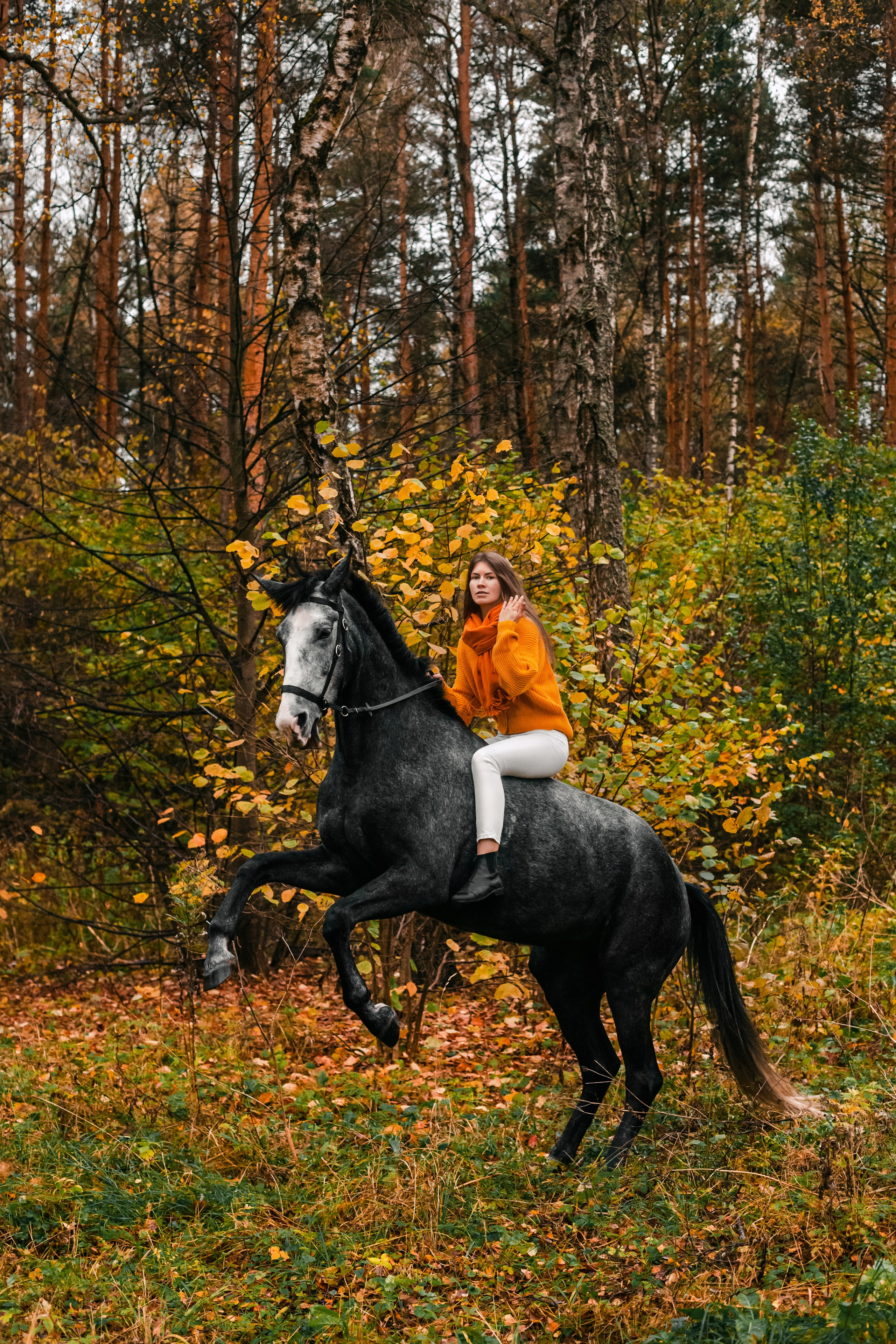 Аня и Джози. Фотограф-анималист Татьяна Степанова