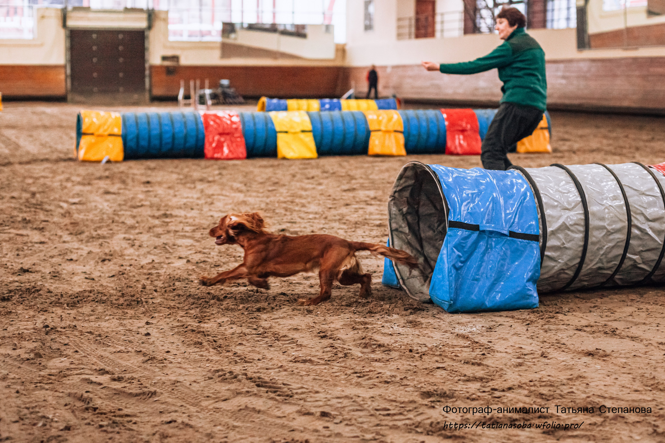 Соревнования по Аджилити 25.02.2024. Фотограф-анималист Татьяна Степанова