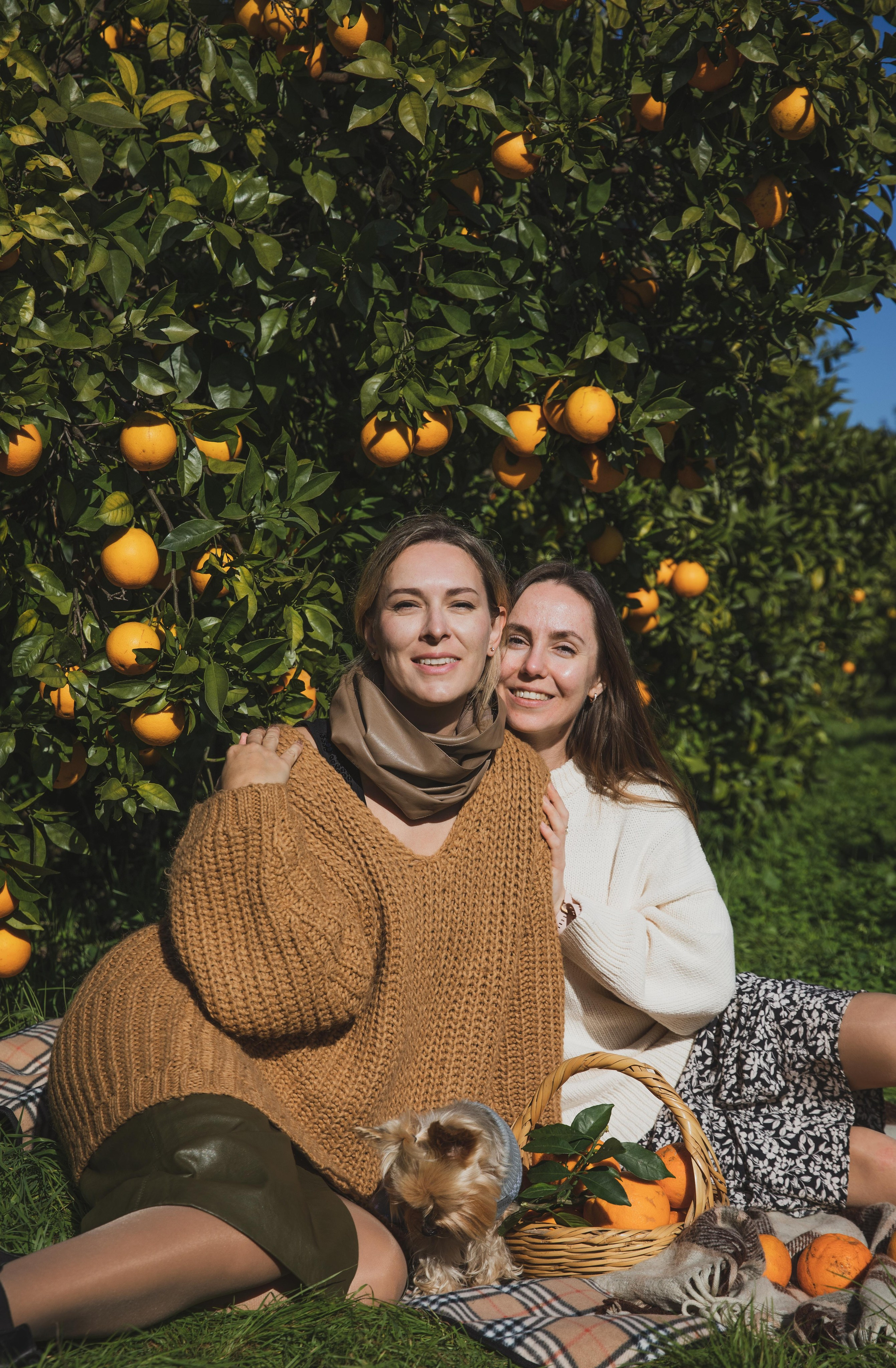 Unique photo session in private orange and tangerine orchards. Professional family, children, fashion, event and wedding photographer in Portugal. Oksana Lomnova