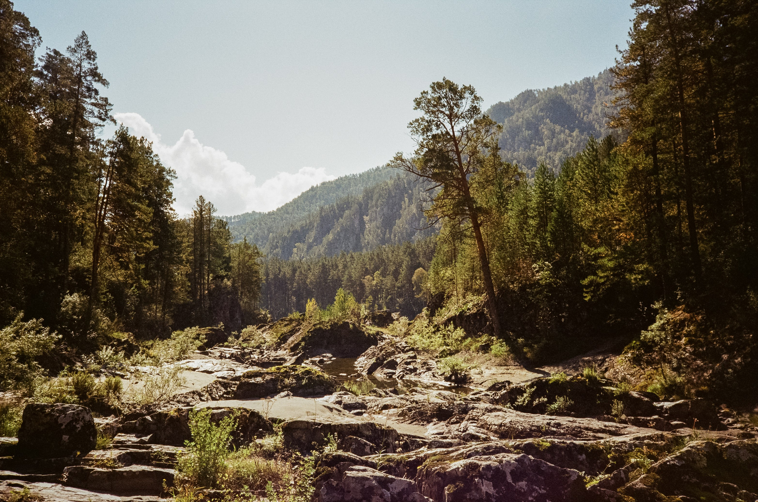 Кедровый остров. Бирюзовая Катунь. Фотограф-документалист Мария Осокина