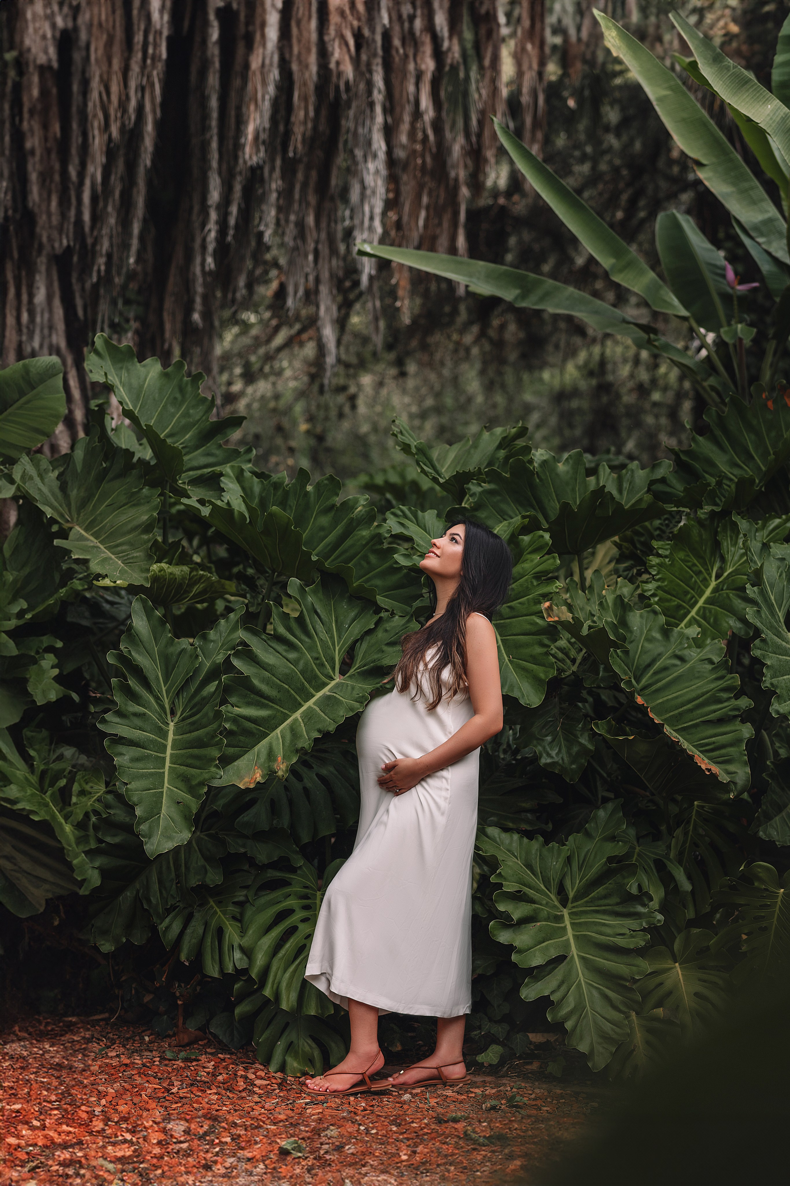 Esperando un milagro. Fotógrafo en Buenos Aires