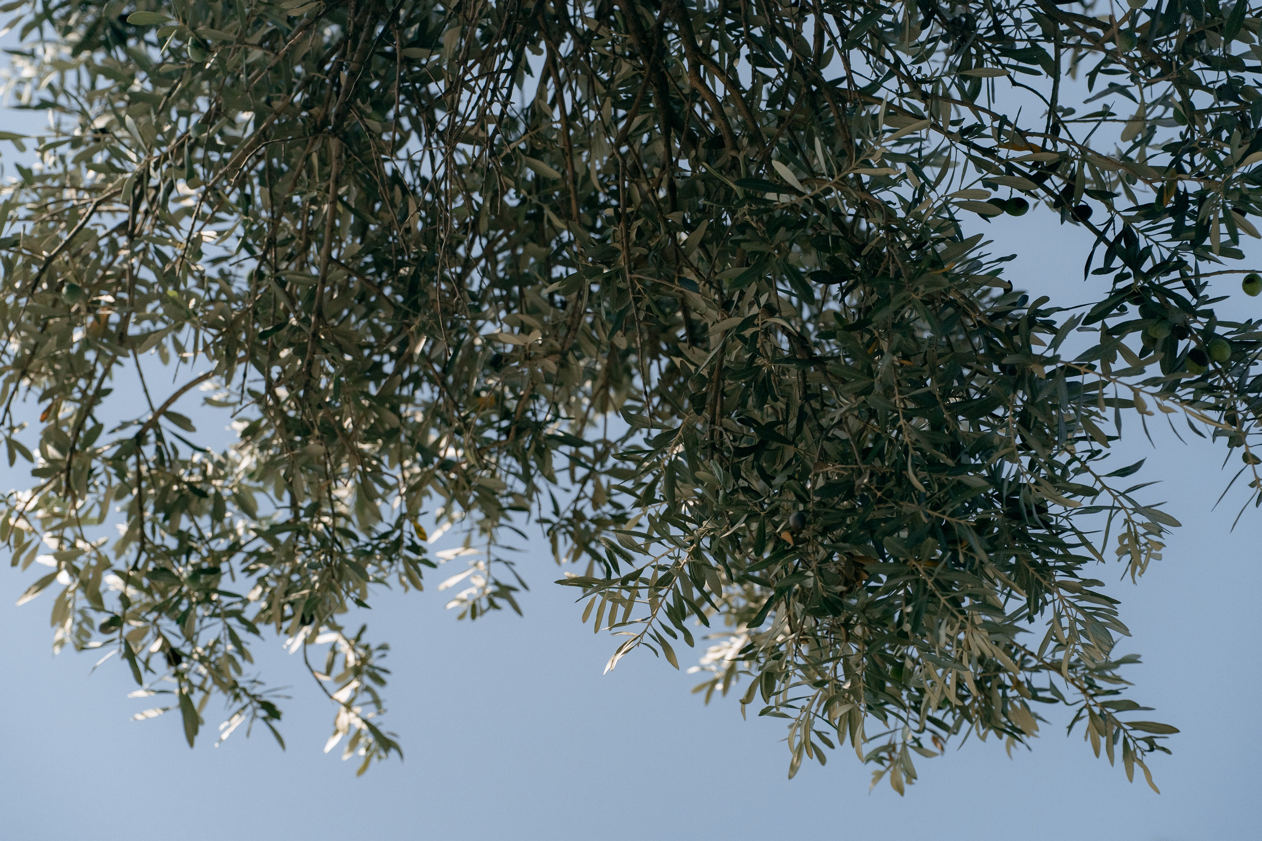 Sunshine in Izmir. Wedding & Documentary Photographer based in Nuremberg — available across Europe & Turkey | Vitalii Nasonov