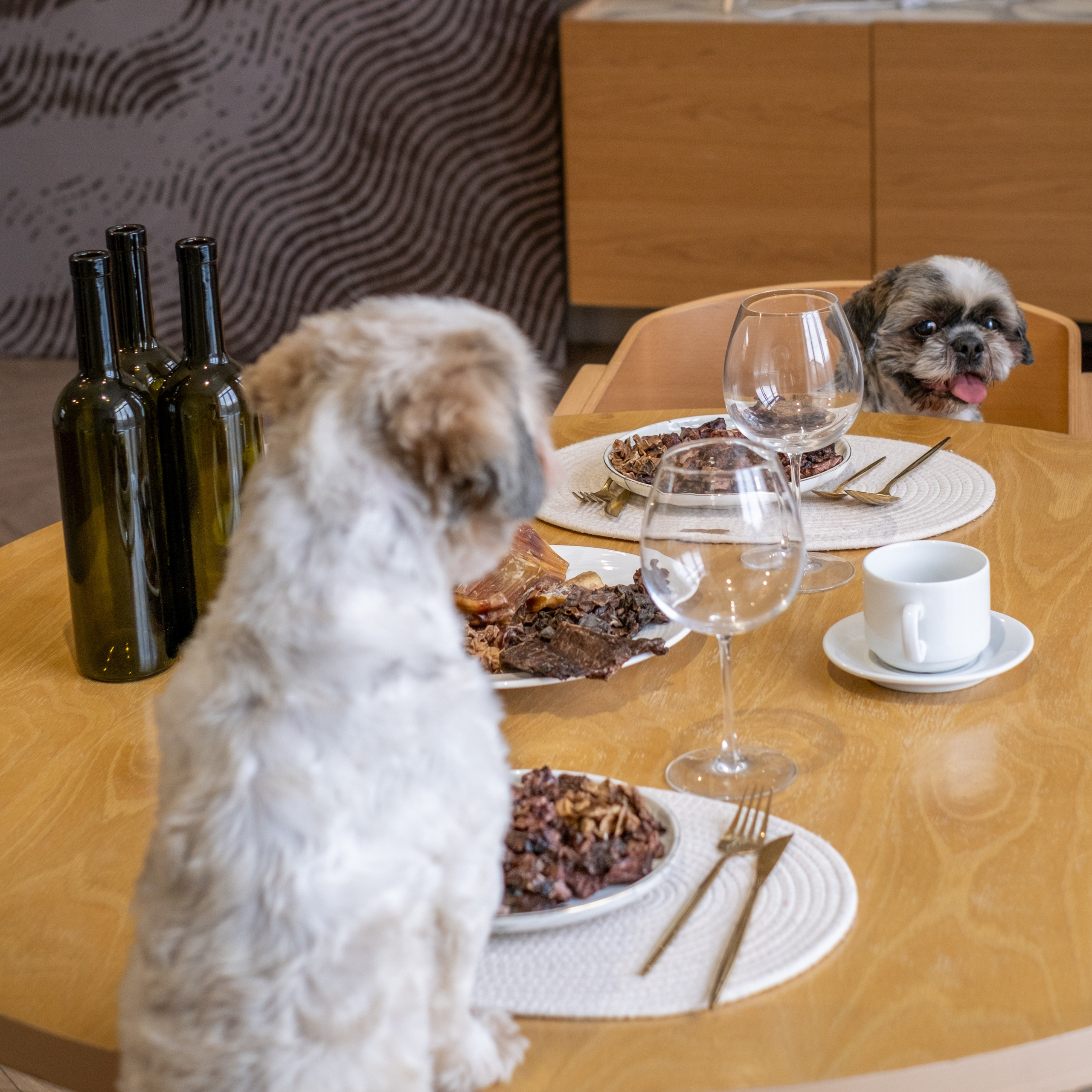 Съёмка для рекламной кампании лакомств для собак (для Григория)!. Зоофотограф, фотограф животных в Москве и области Дина Дамоцева