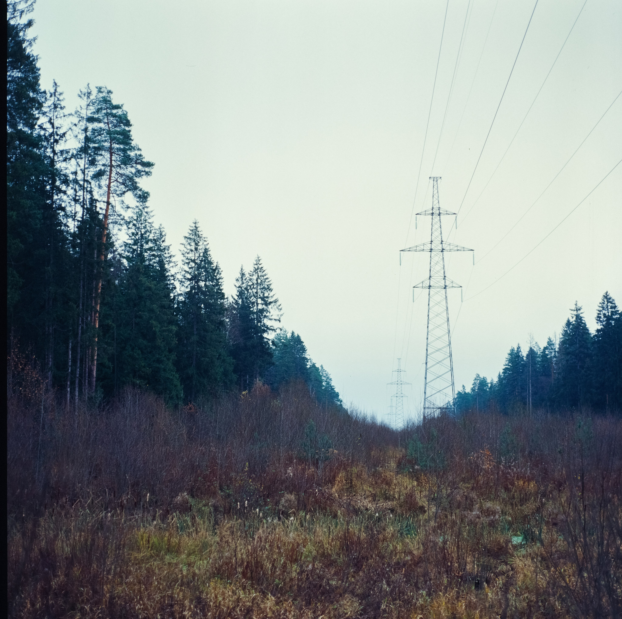 Kowa Super 66 / Kowa 85 mm f2.8 + Kowa 55 mm f3.5 / Kodak Ektachrome E