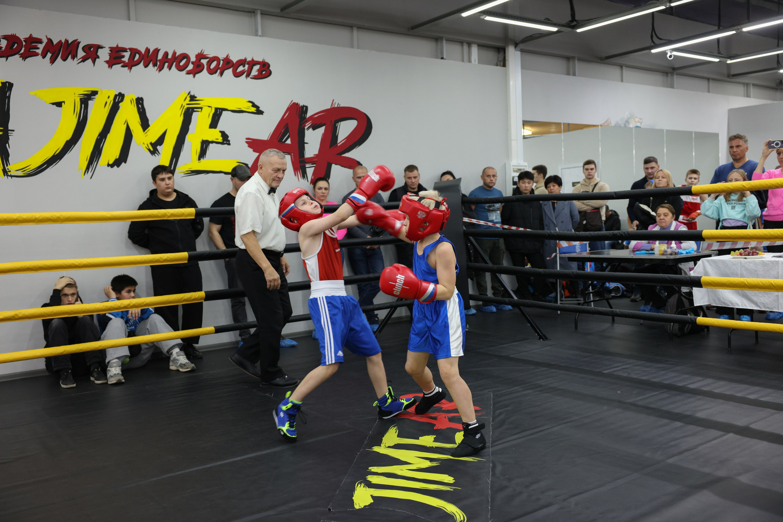Открытый ринг «кубок ООО «ТЭК НеваСпецТяж». Фотограф Александр Заломаев