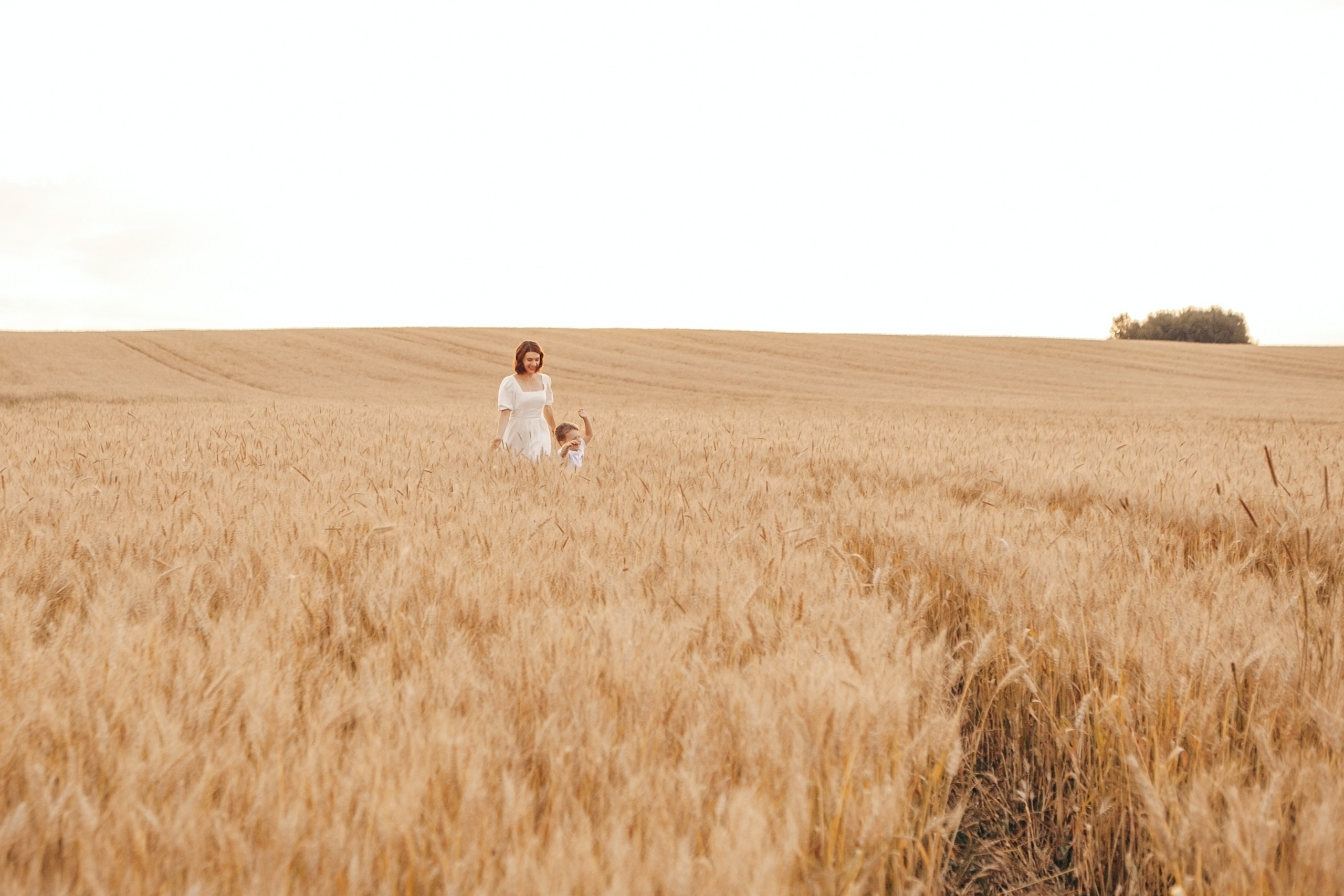 Семейная фотосессия в поле на закате. Фотограф Ольга Ефремова
