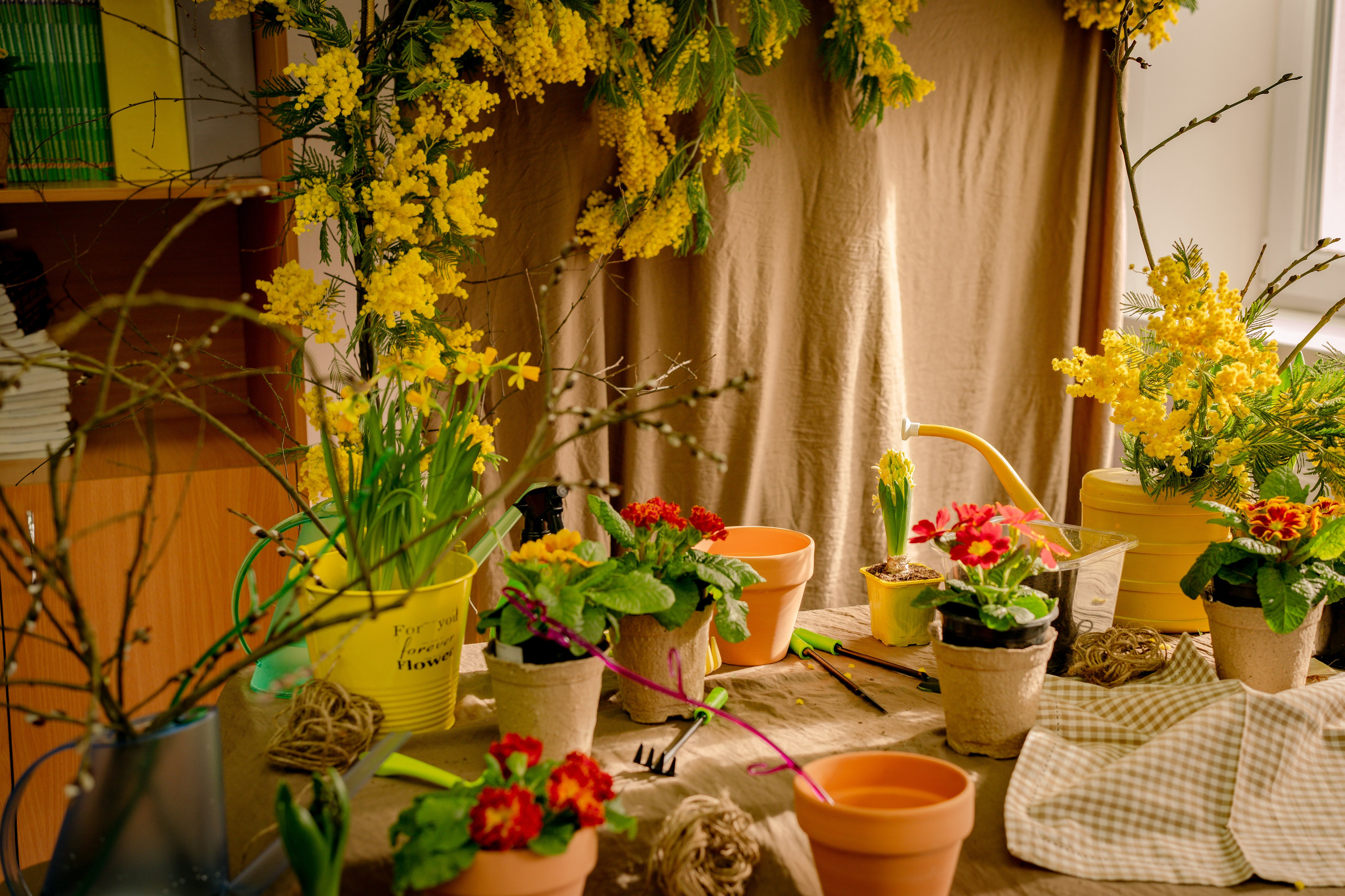 Весна 2 класс. Портретный и семейный фотограф в Москве/Видное