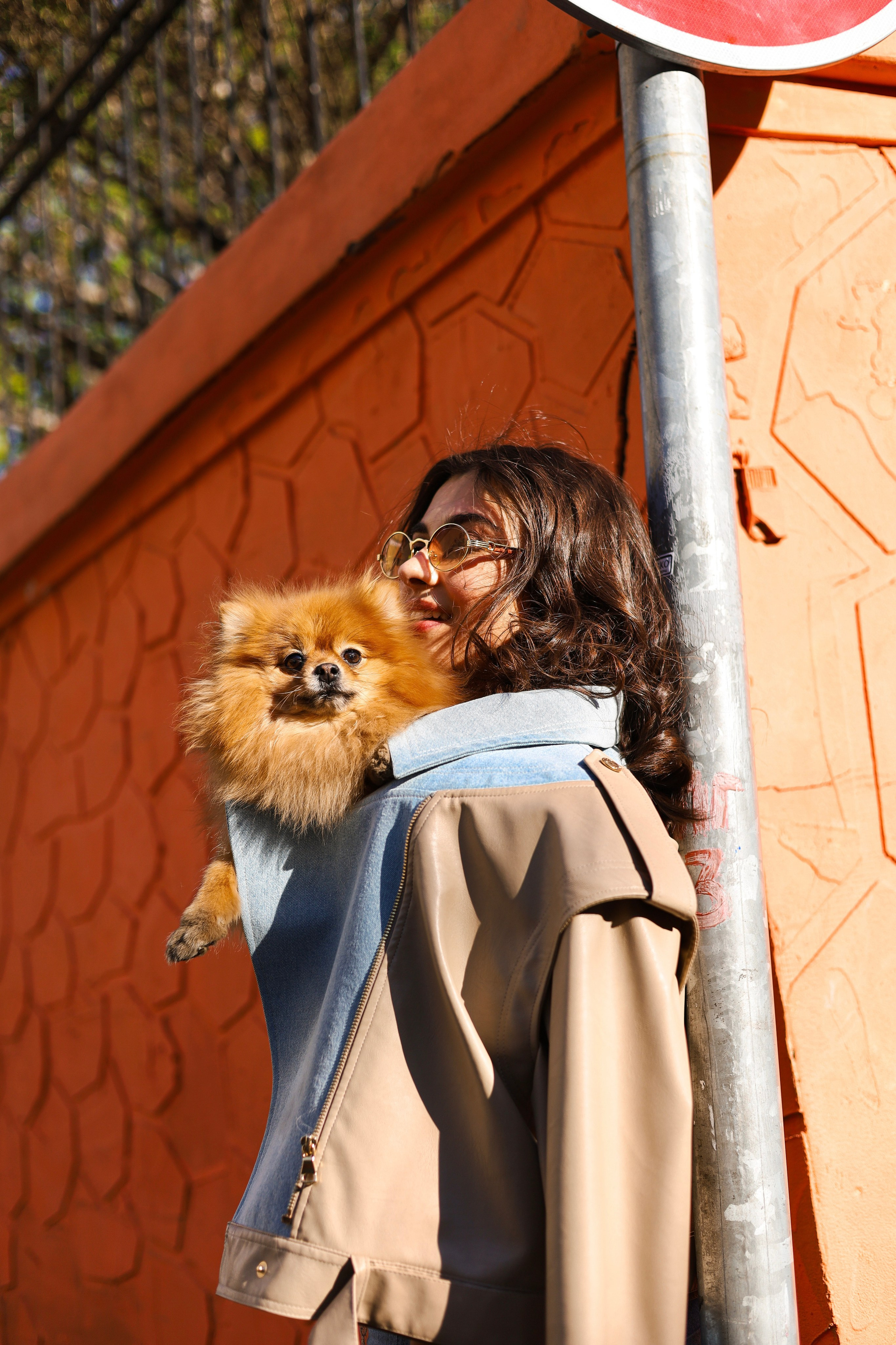 Мика и Лена. Фотограф-анималист Ксения Шевцова|Москва