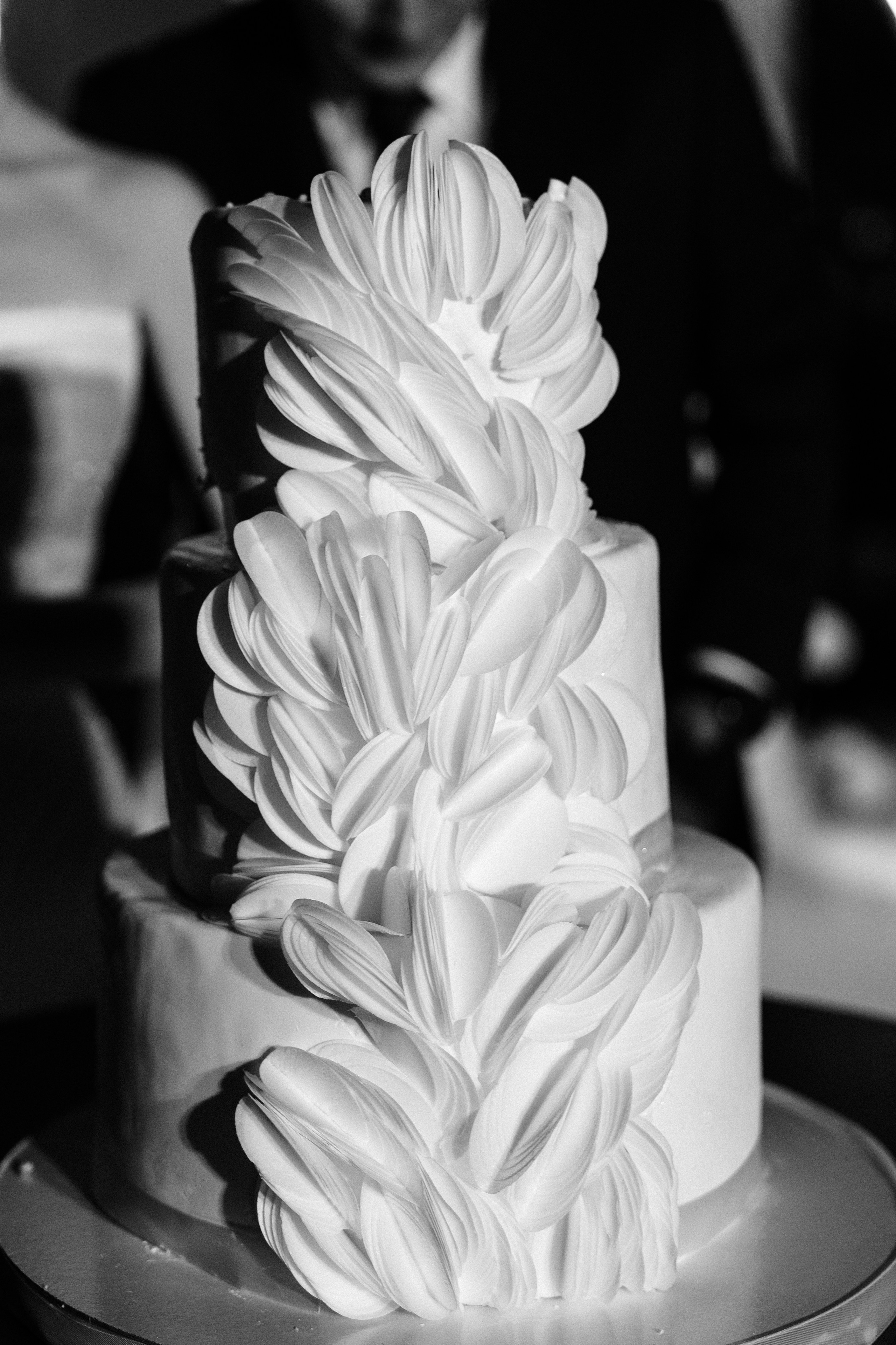 Veronika&Nikita. Валерия Солнцева свадебный и семейный фотограф