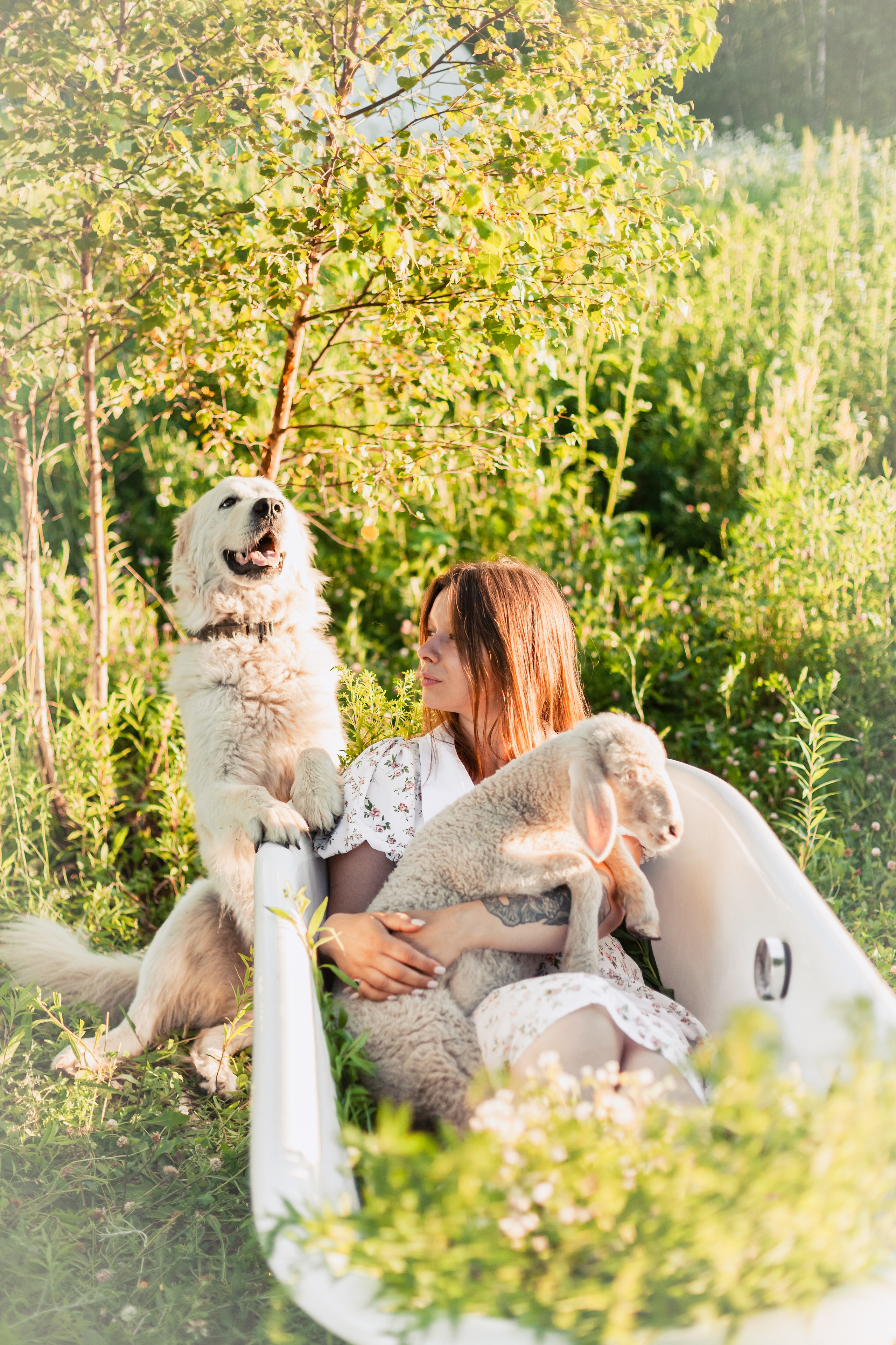 Ванна в поле. Фотограф-анималист Татьяна Степанова