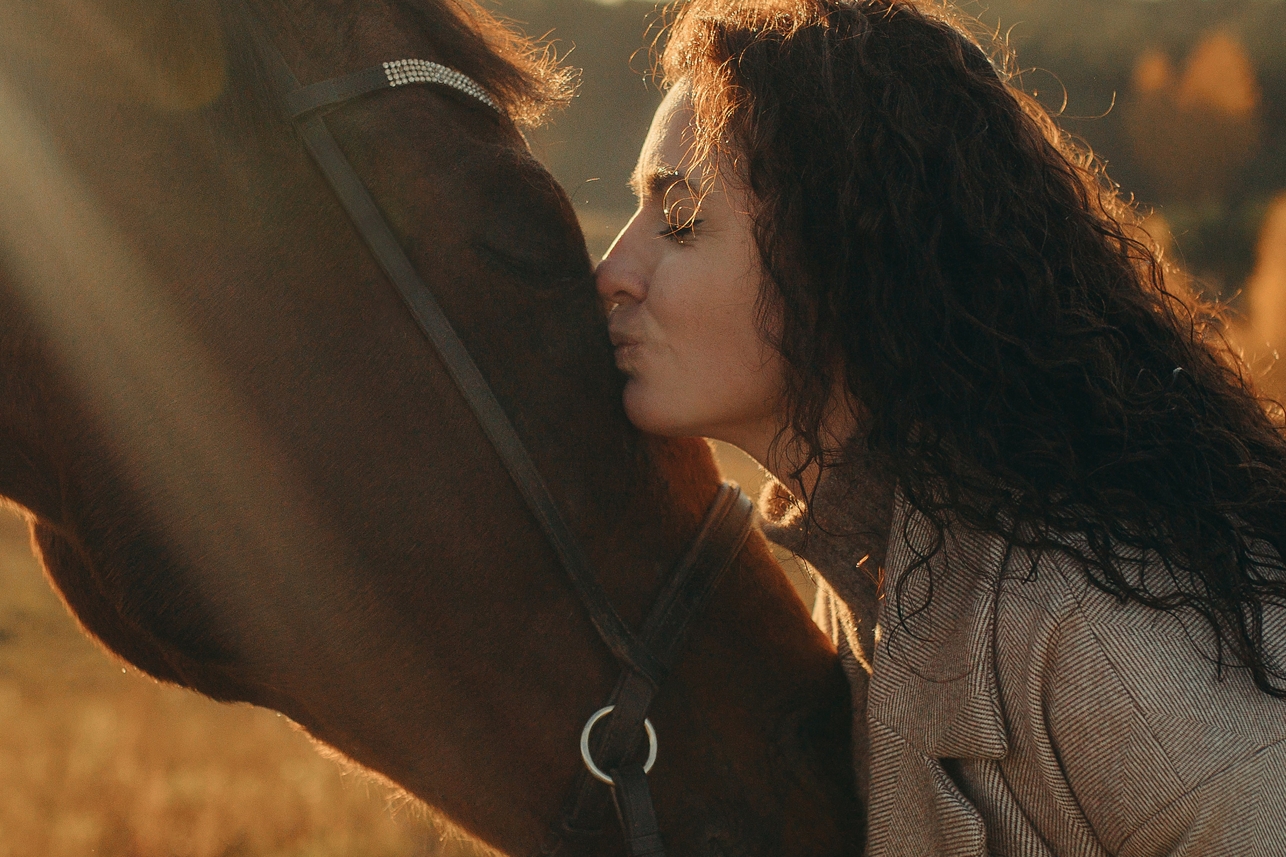 Наши пушистые дети. Главная