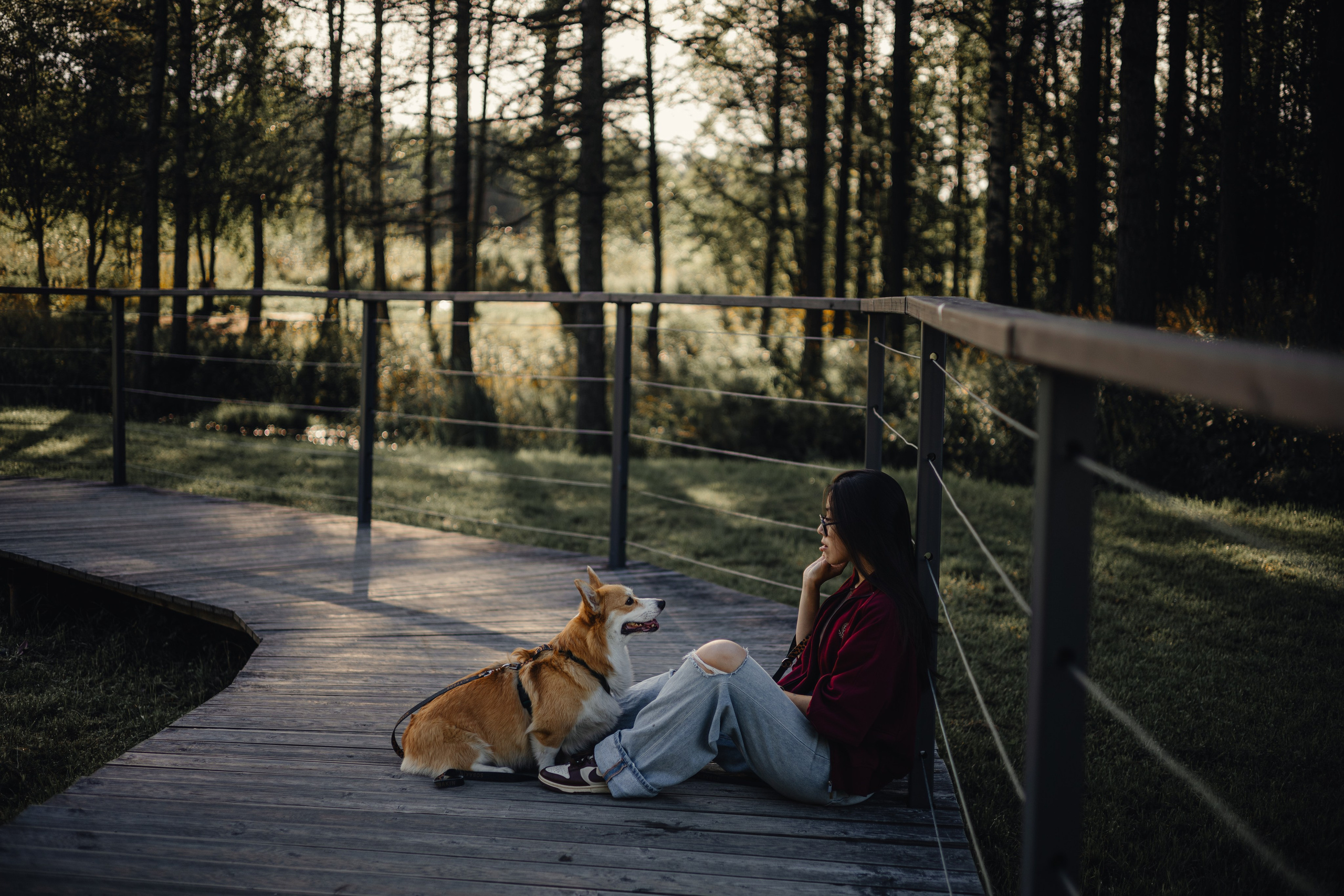 Мари & Йосик. Фотограф — анималист •love-story•|Санкт-Петербург