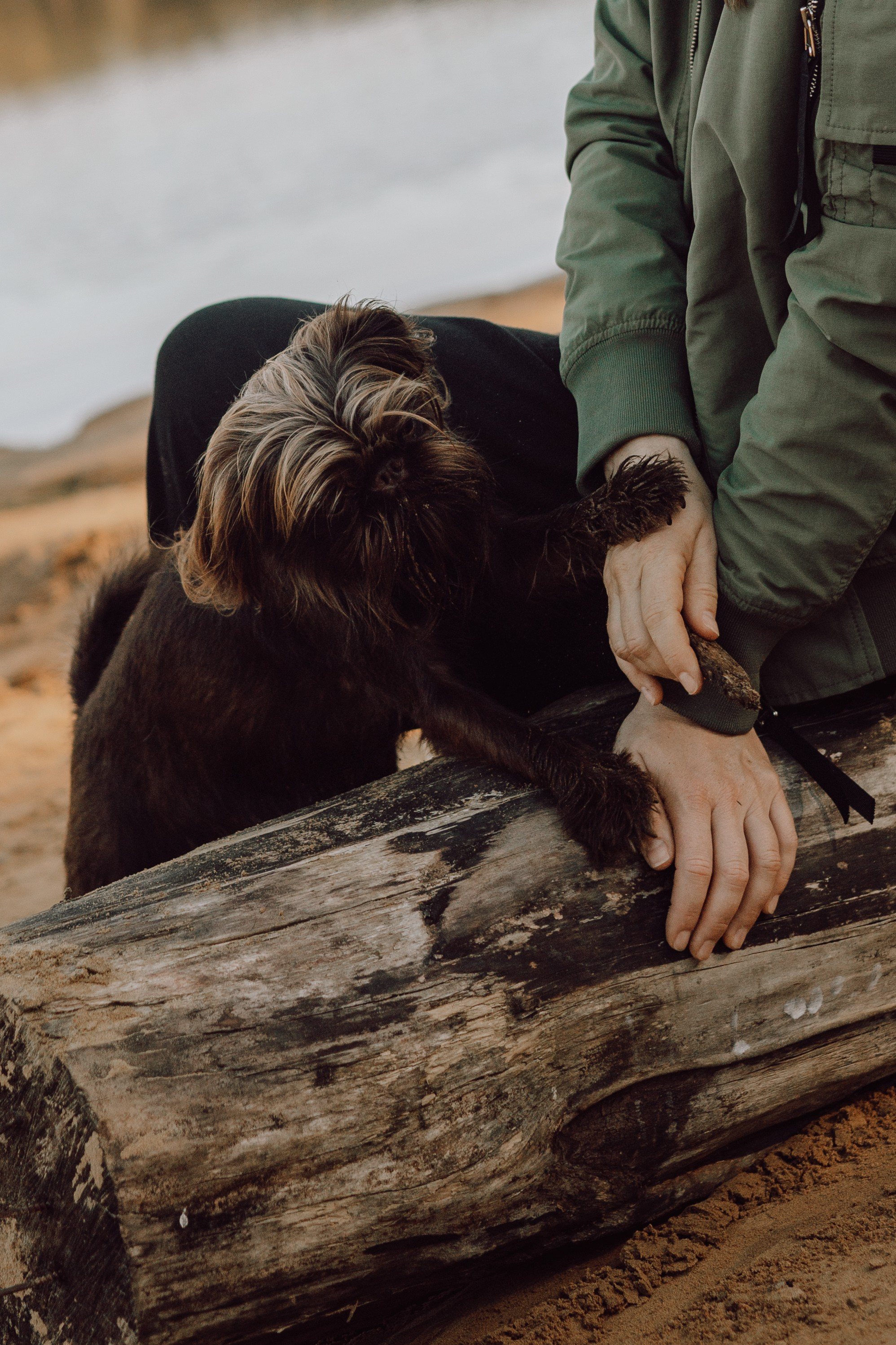 Катерина & Лунка. Фотограф — анималист •love-story•|Санкт-Петербург